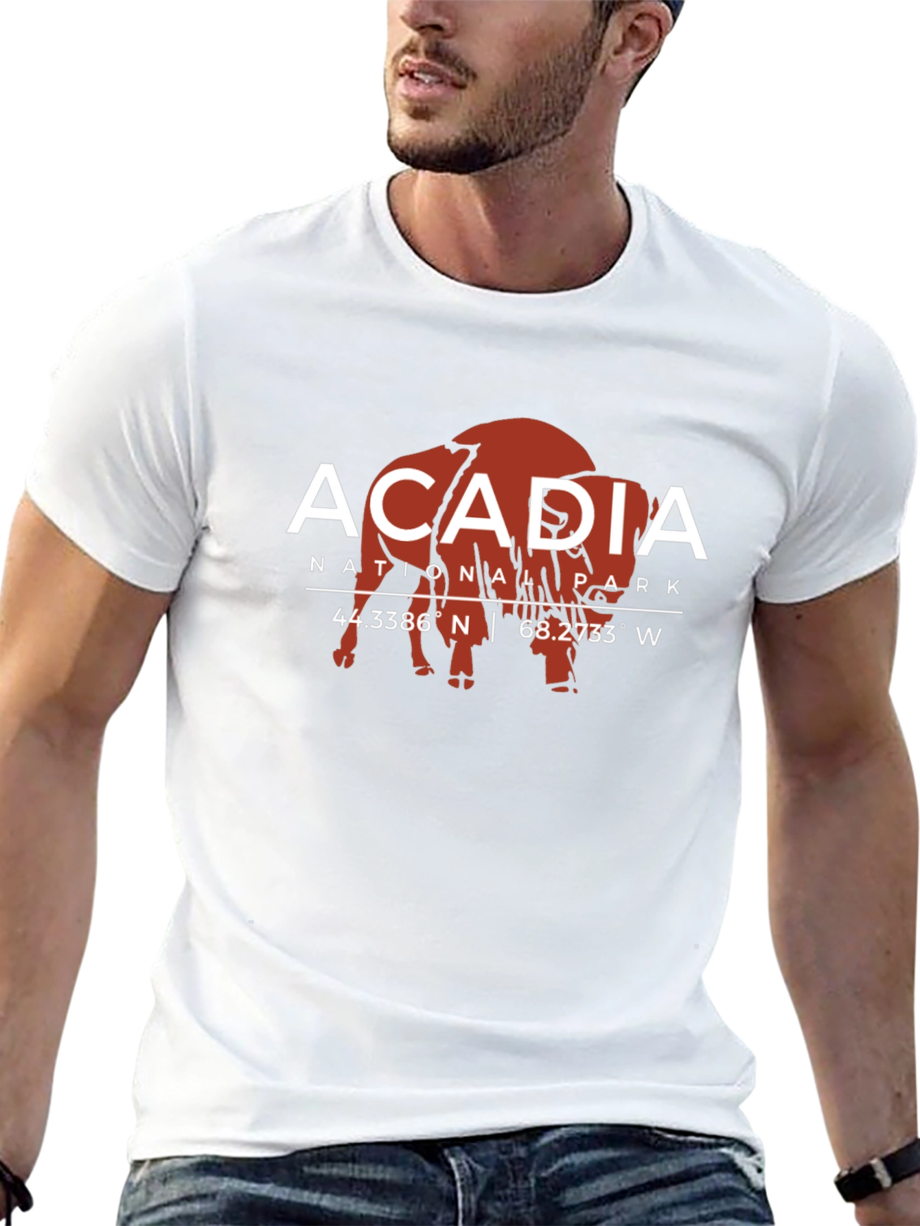 Acadia National Park Bison Graphic Tee