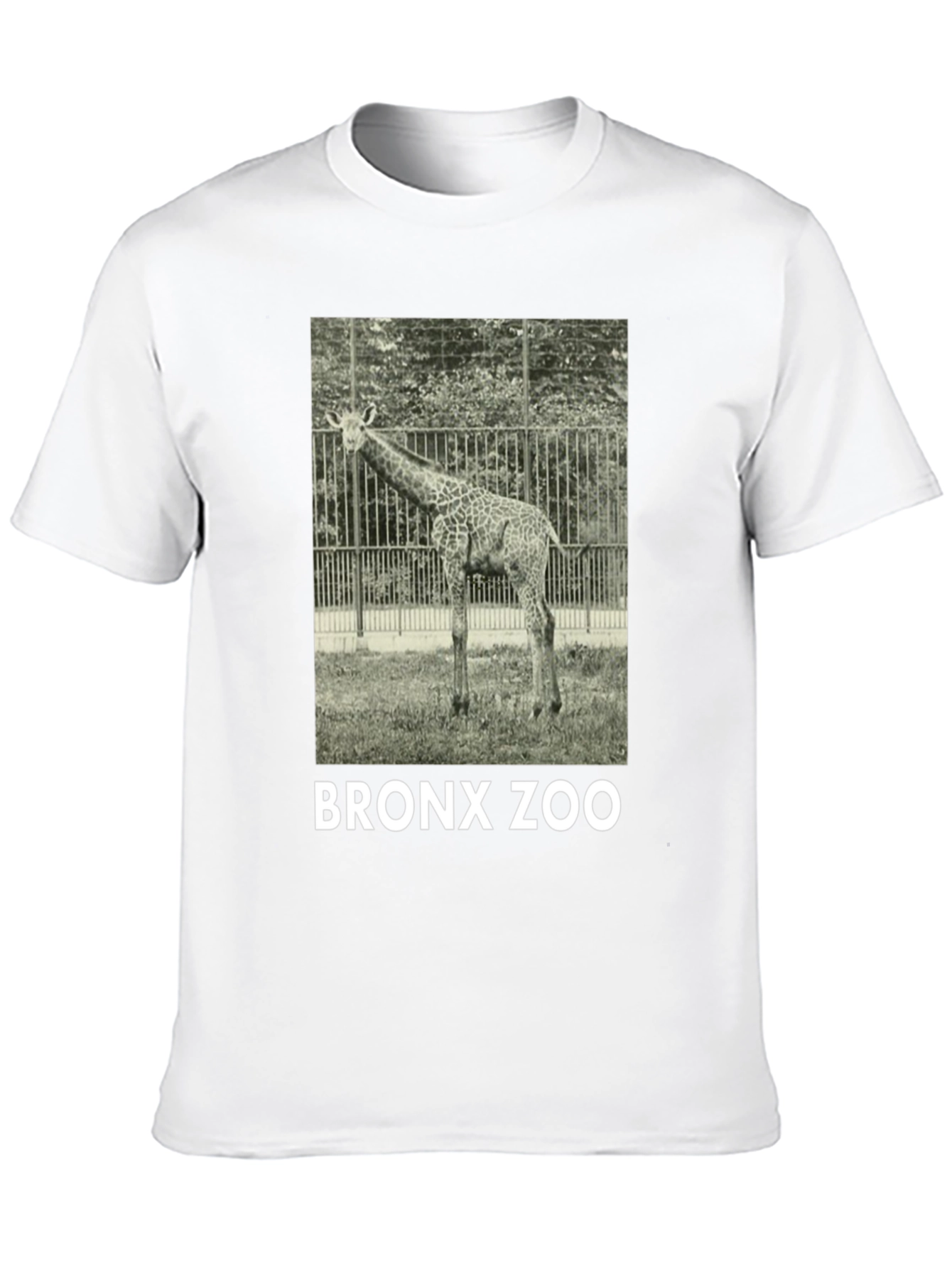 Bronx Zoo Giraffe Graphic Tee - Black