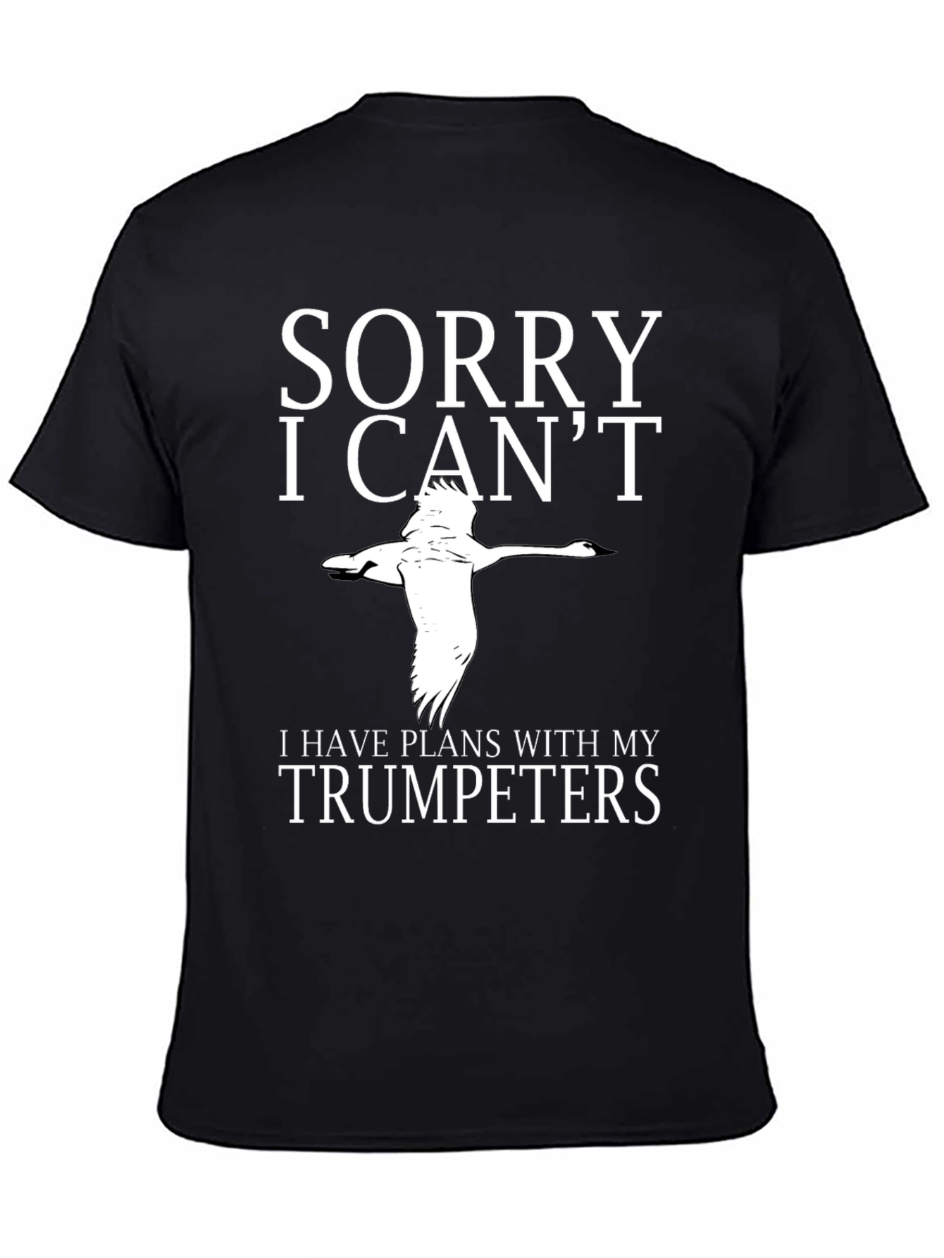 Sorry I Cant Trumpeters T-Shirt