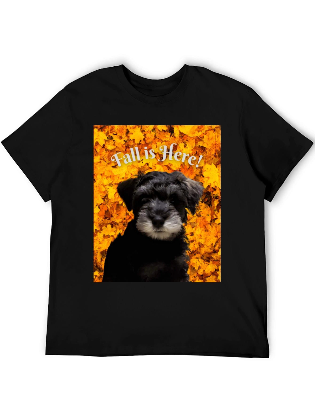 Fall is Here! Schnauzer T-Shirt