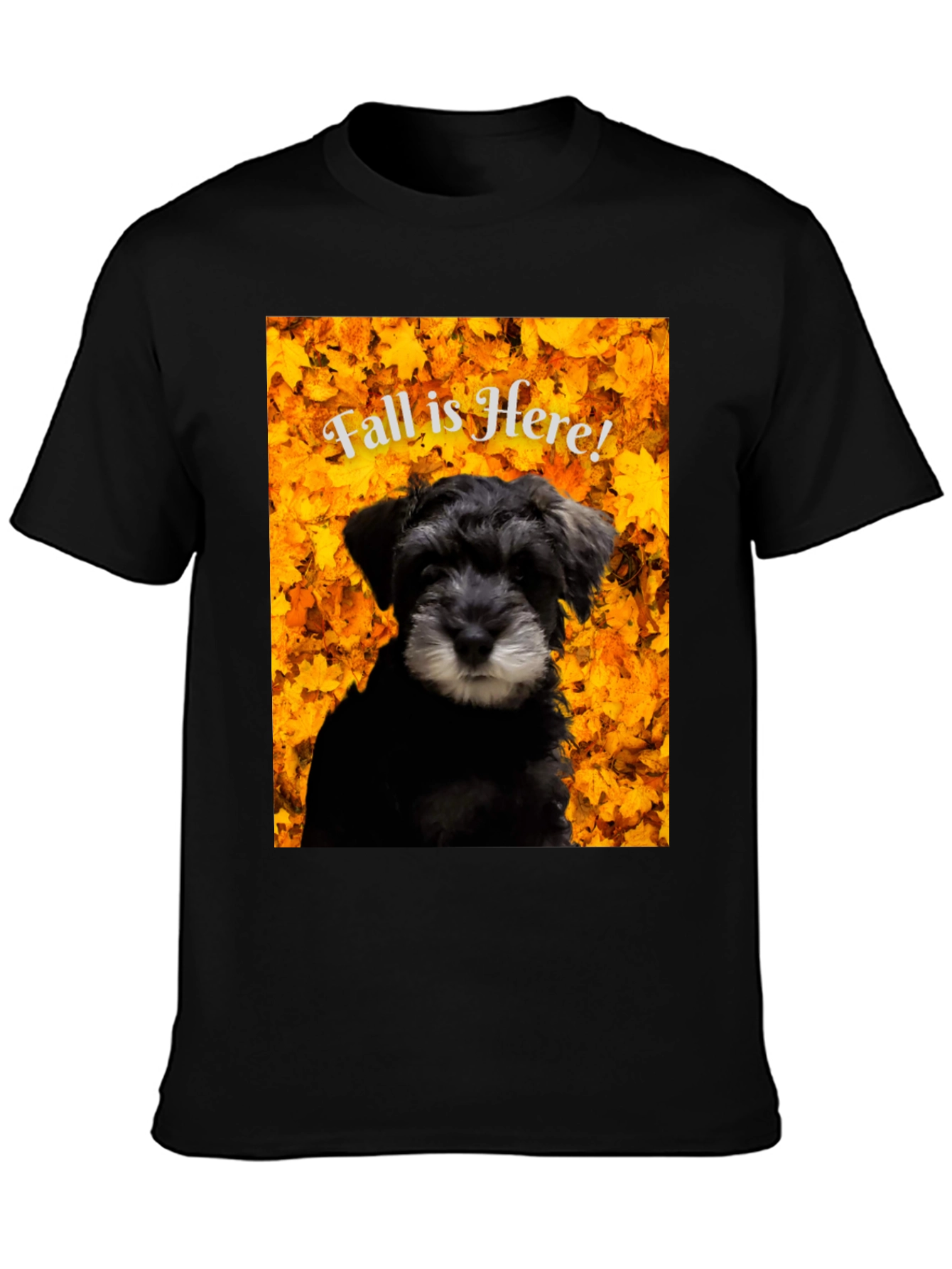 Fall is Here! Schnauzer T-Shirt