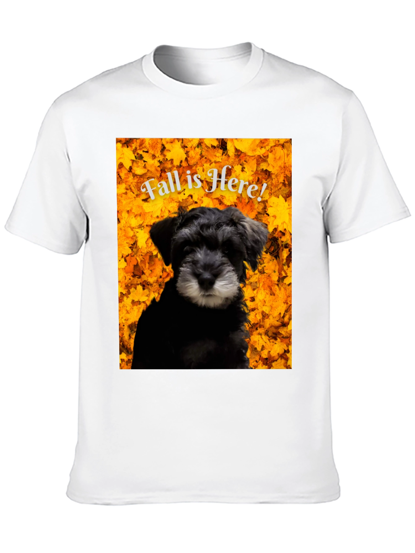 Fall is Here! Schnauzer T-Shirt