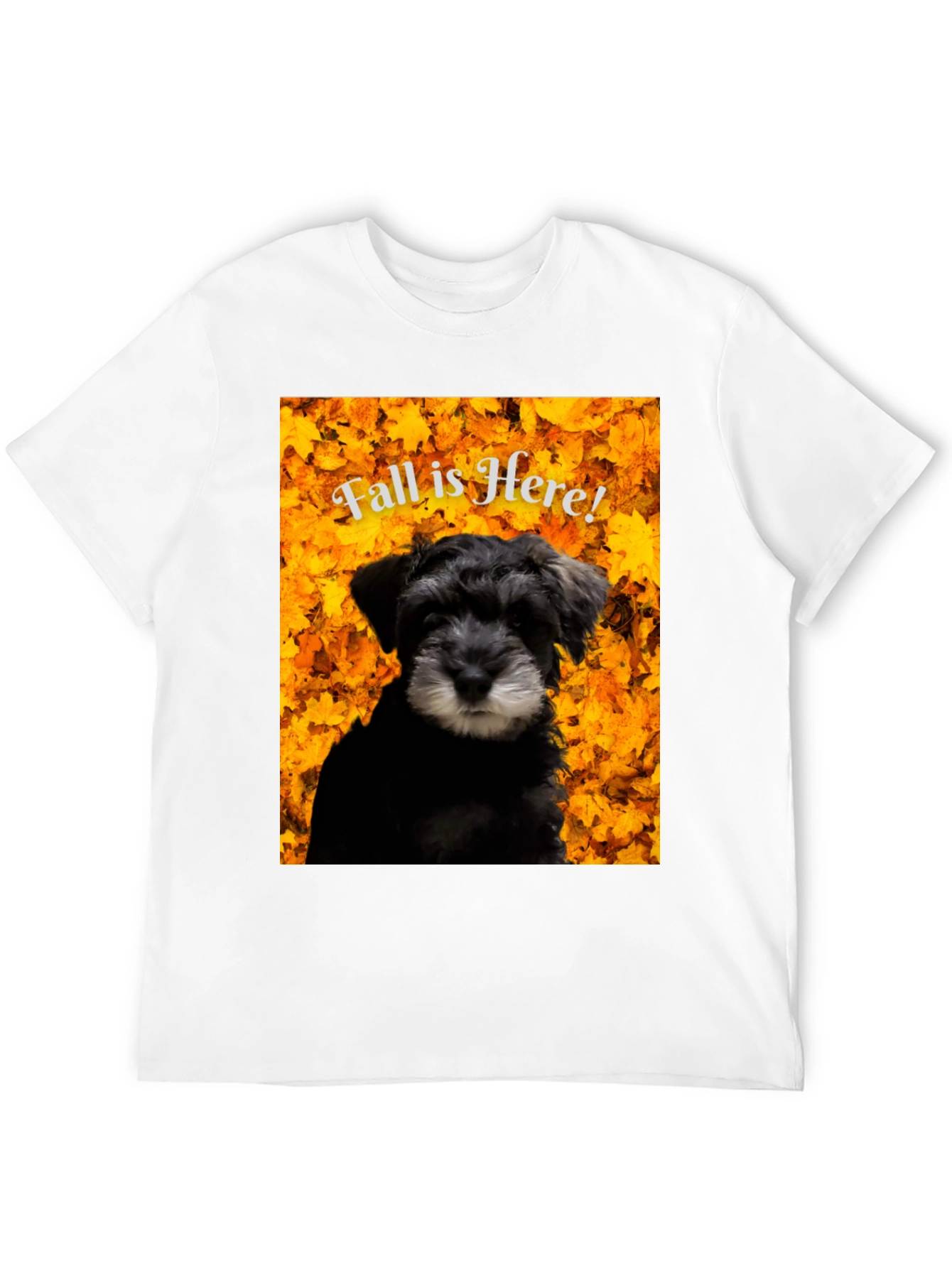 Fall is Here! Schnauzer T-Shirt