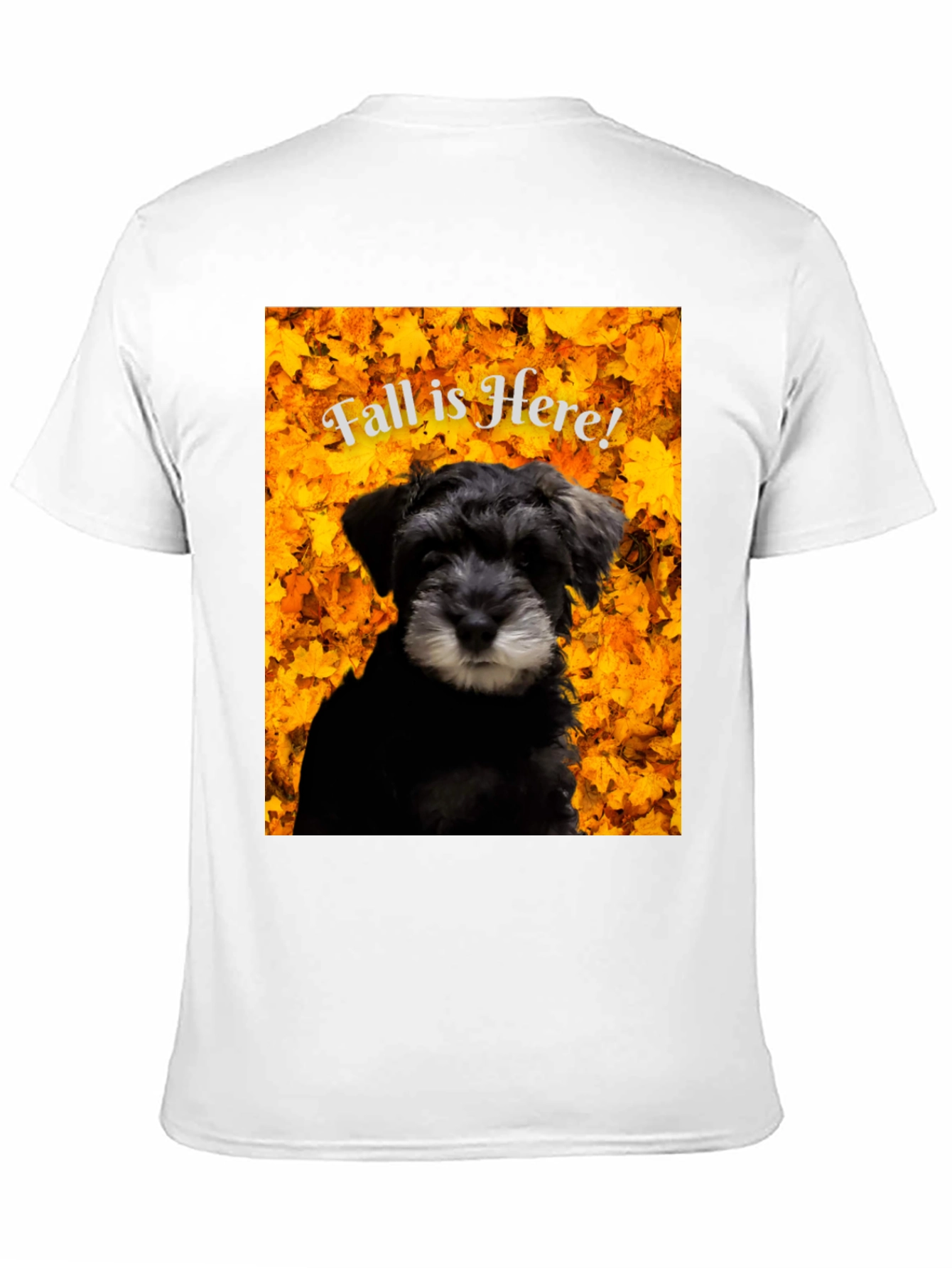Fall is Here! Schnauzer T-Shirt