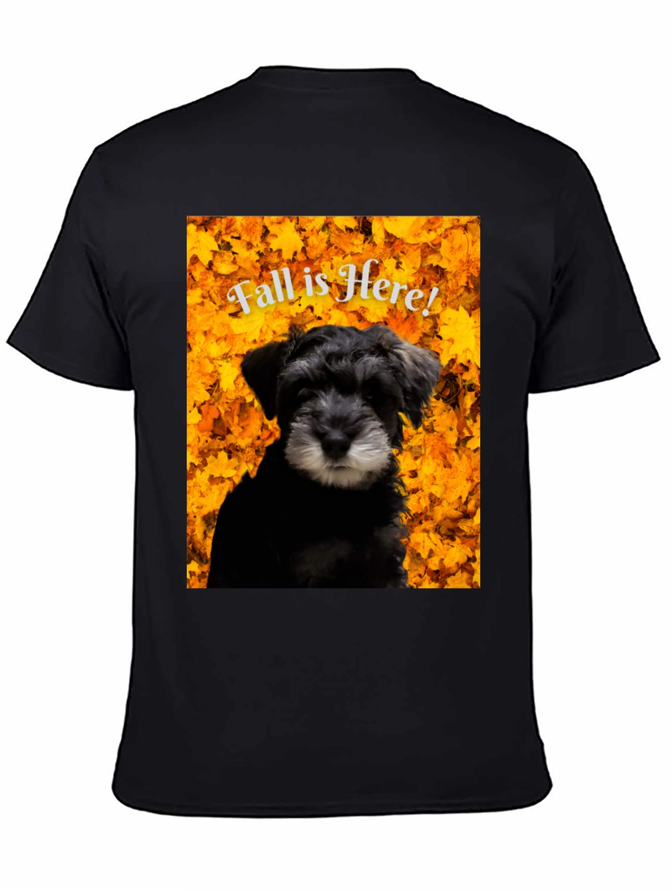 Fall is Here! Schnauzer T-Shirt
