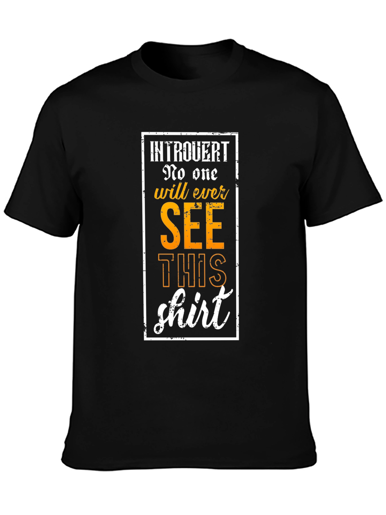 Introvert Graphic Tee: No One Will See This Shirt