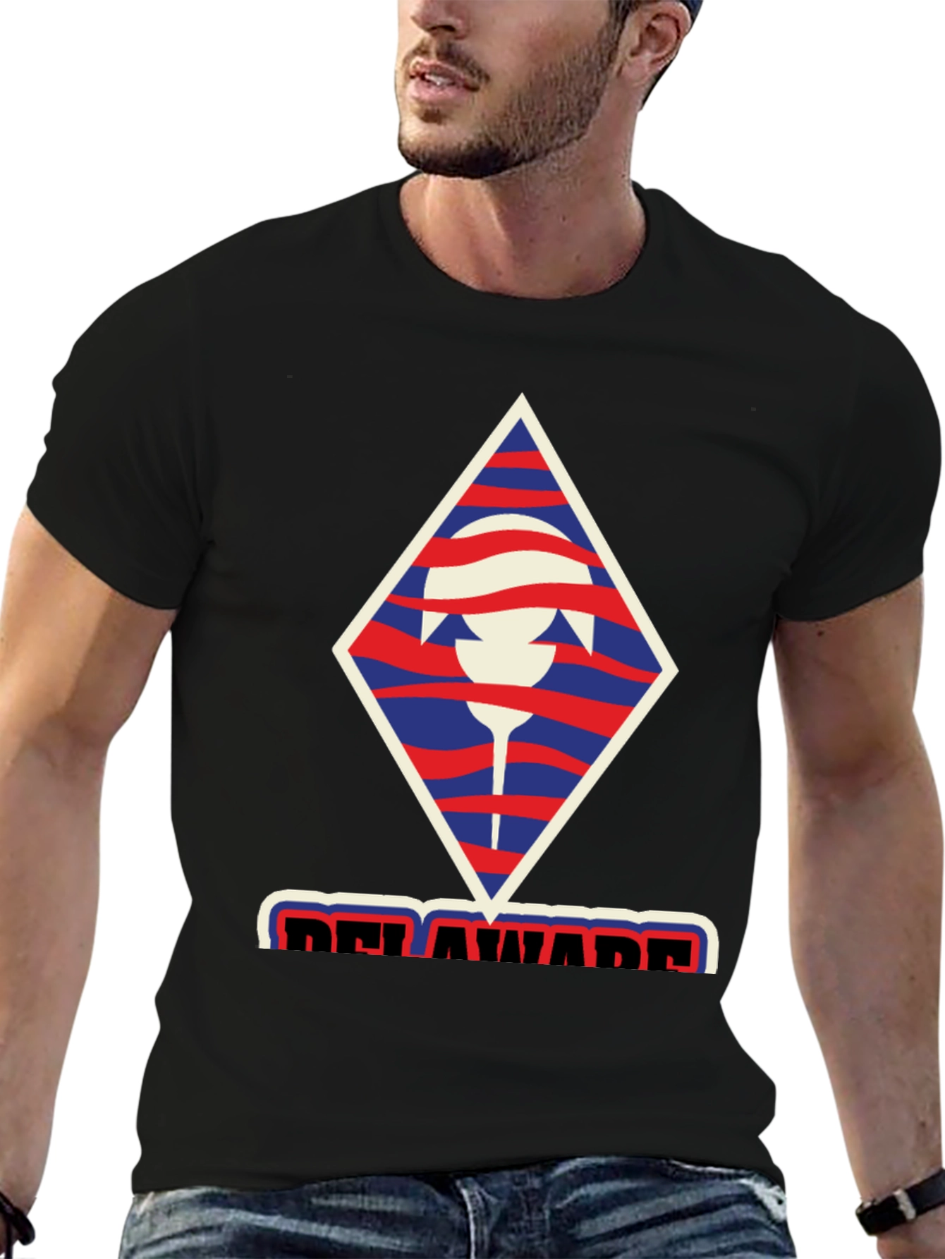 Delaware T-Shirt: Unique State Pride Design