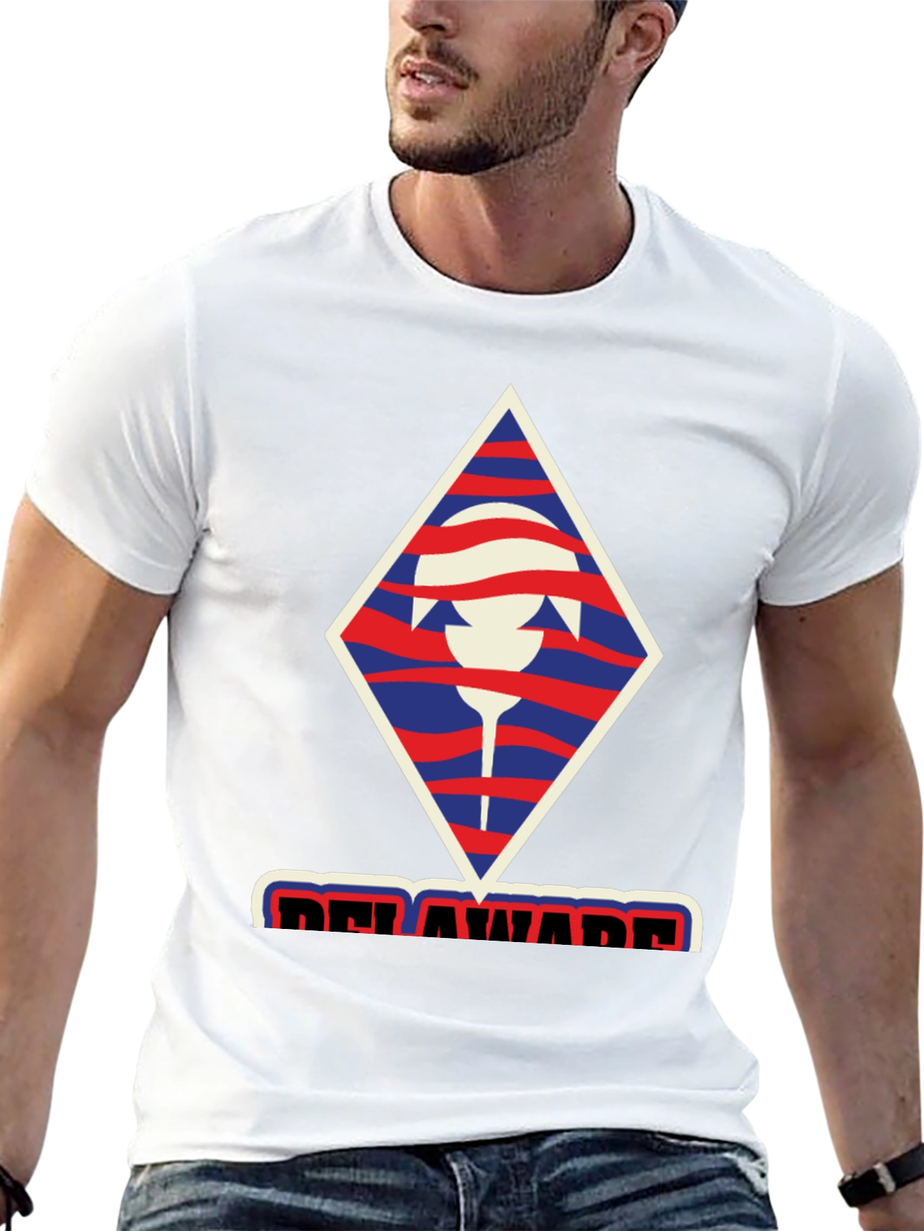 Delaware T-Shirt: Unique State Pride Design