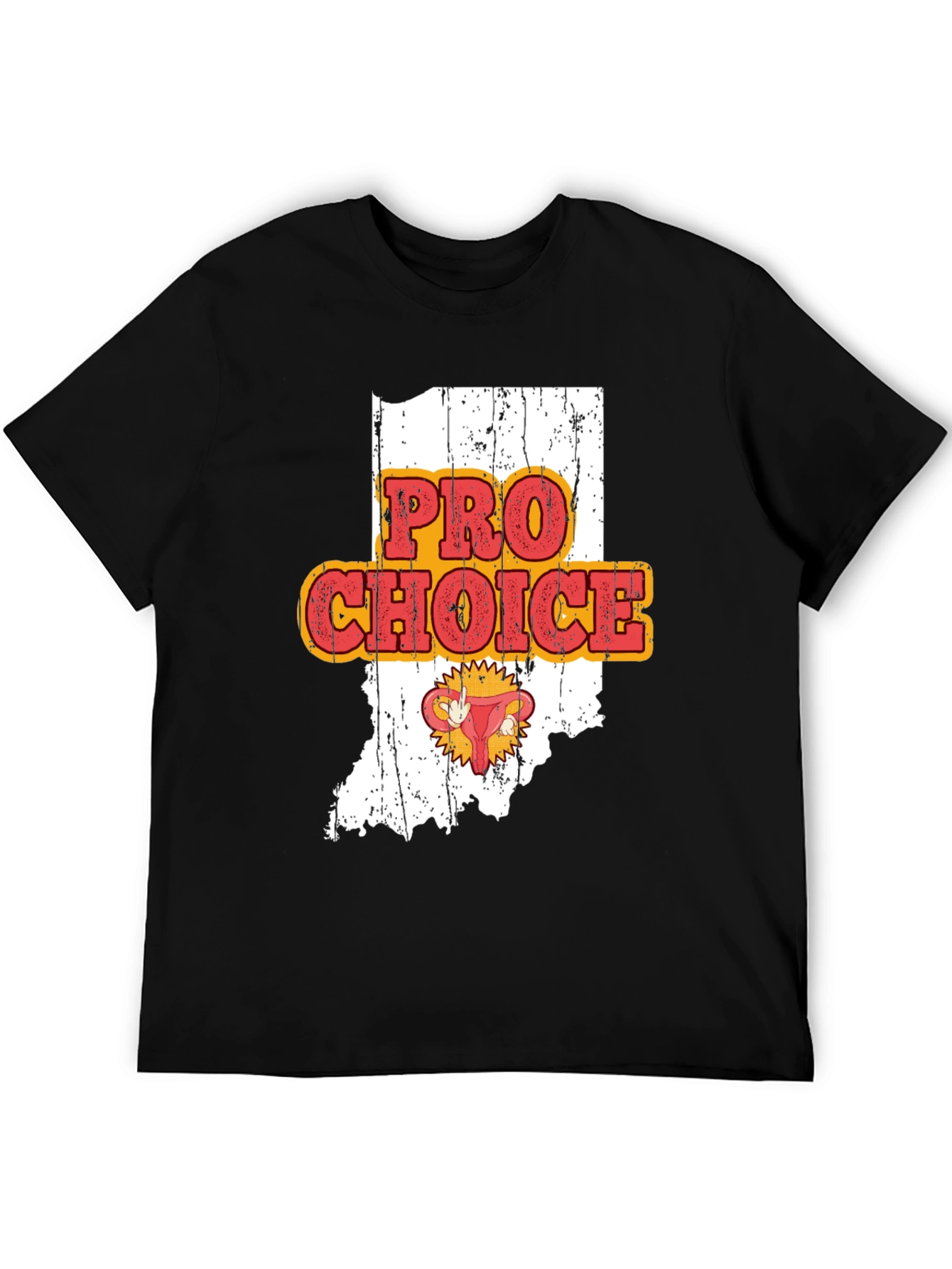 Pro Choice Indiana Womens Rights Graphic Tee