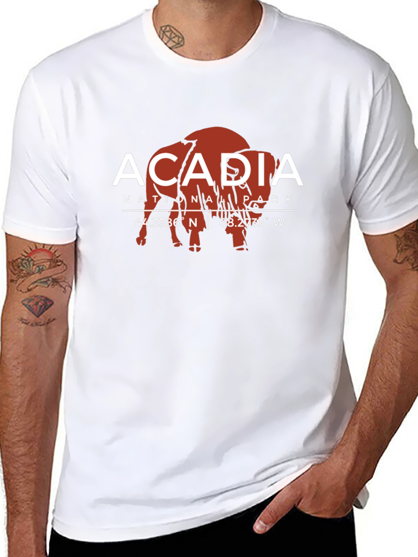 Acadia National Park Bison Graphic Tee