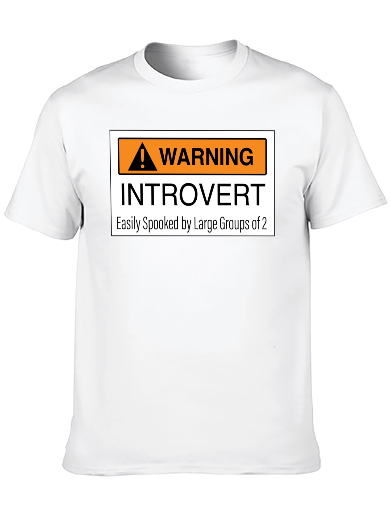 Introvert Warning Graphic Tee - Easily Spooked