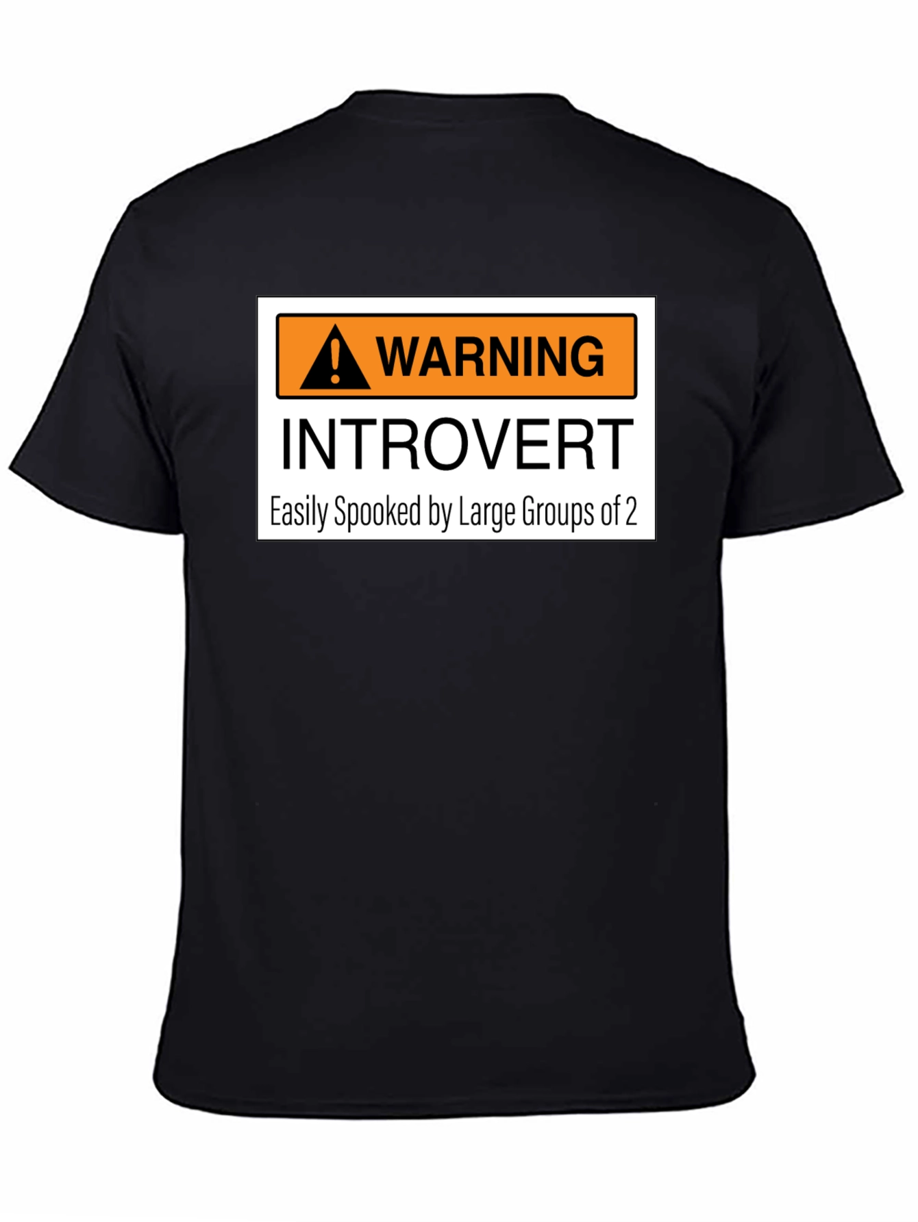 Introvert Warning Graphic Tee - Easily Spooked