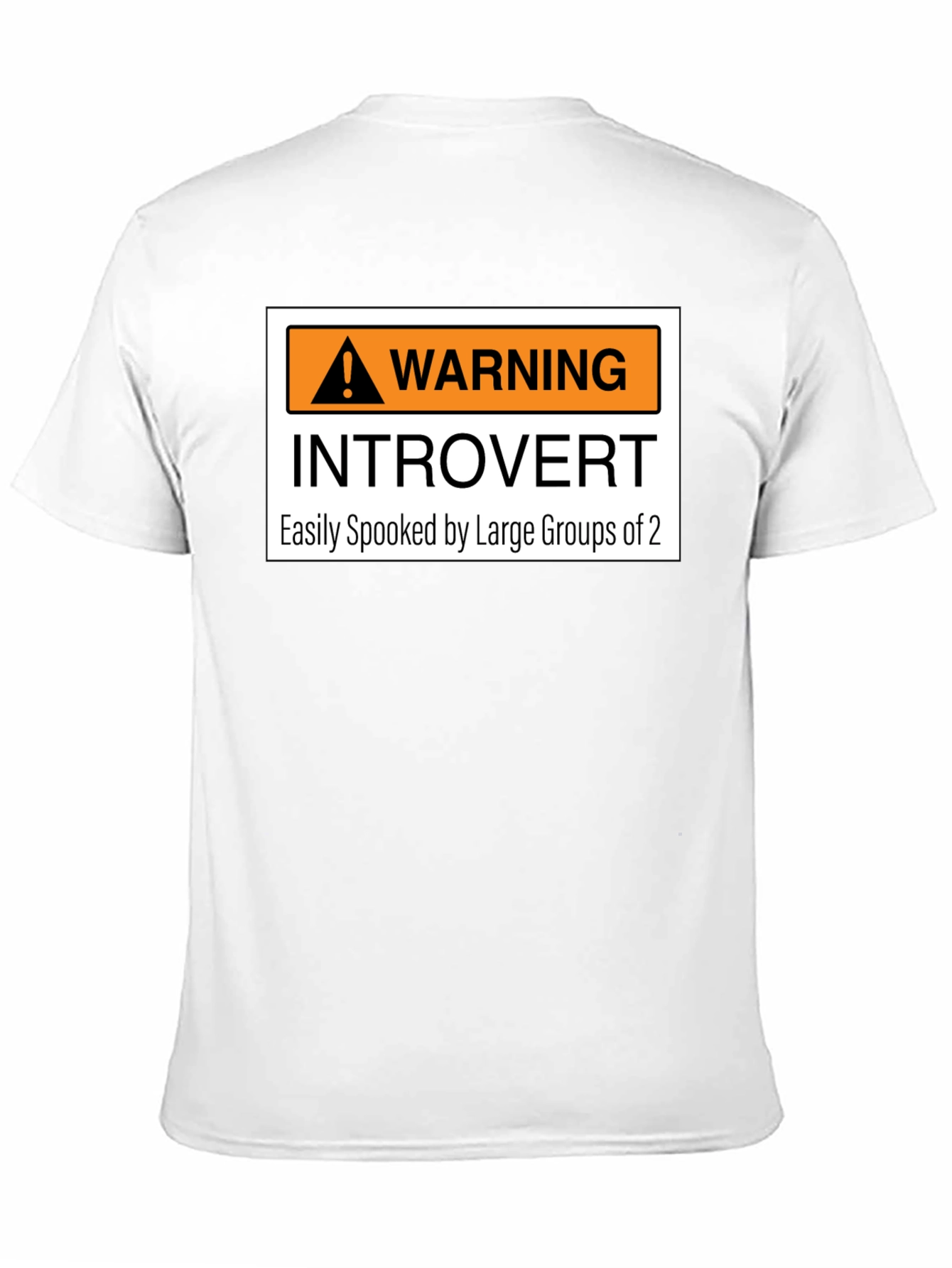 Introvert Warning Graphic Tee - Easily Spooked