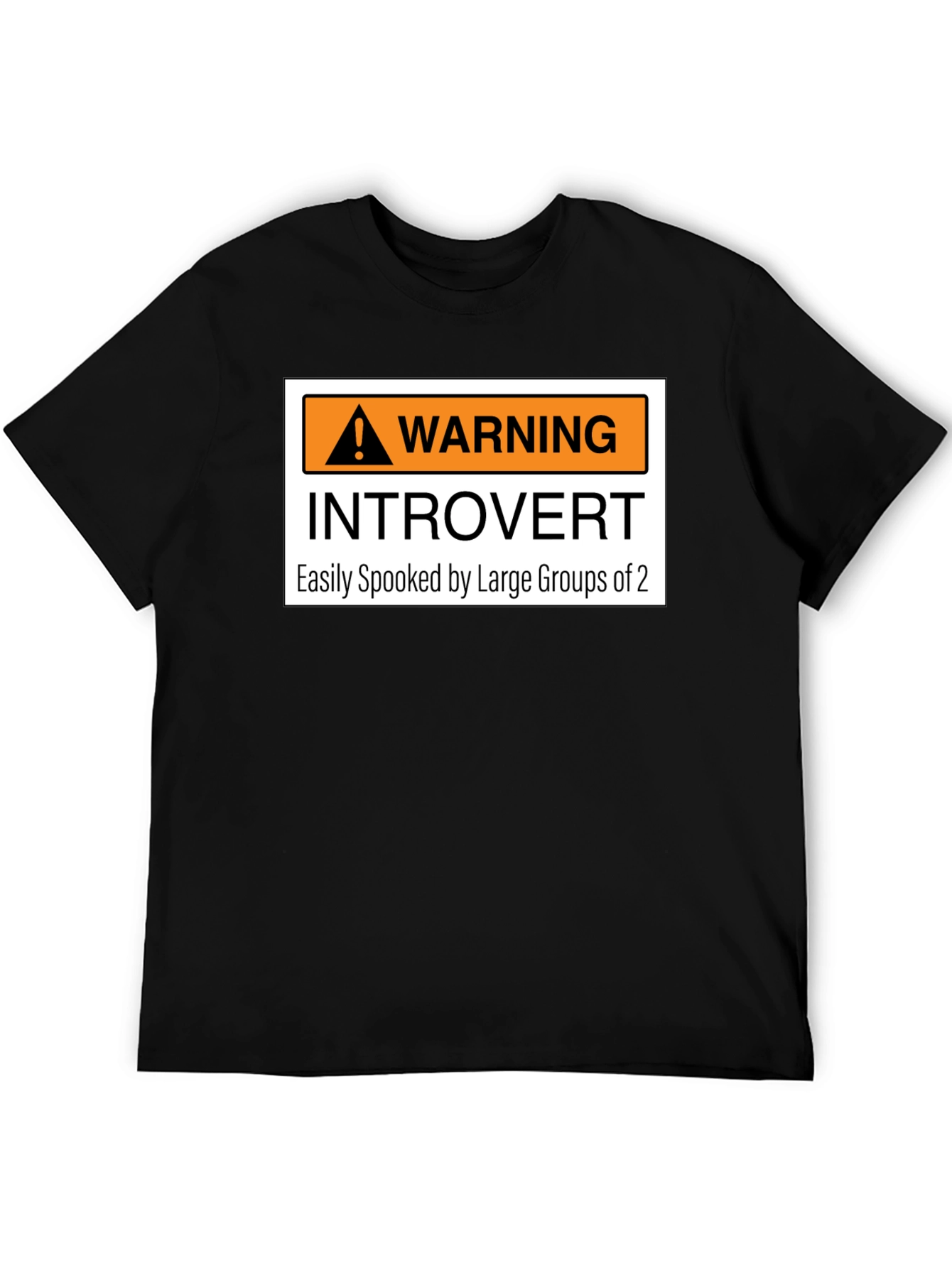Introvert Warning Graphic Tee - Easily Spooked