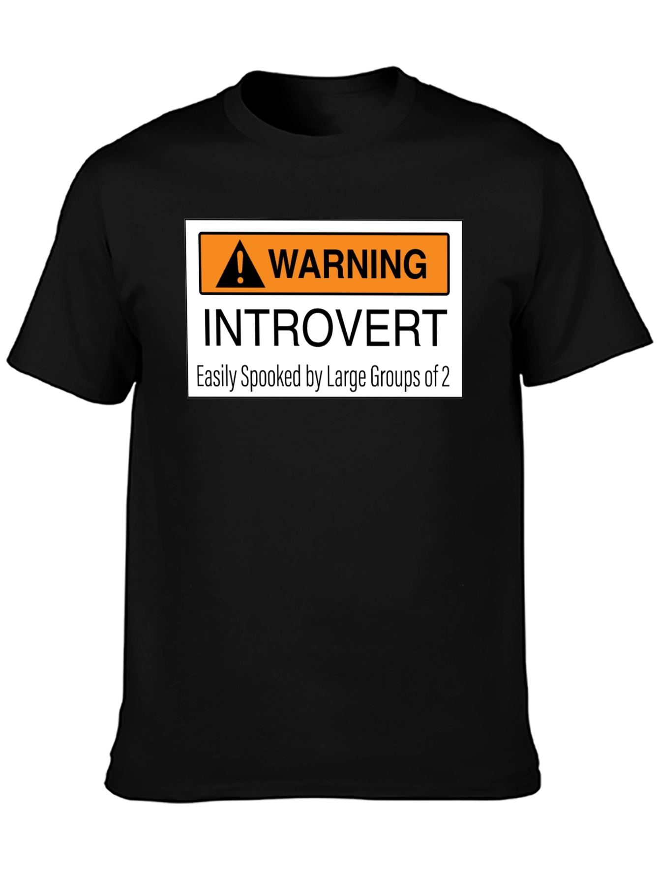 Introvert Warning Graphic Tee - Easily Spooked