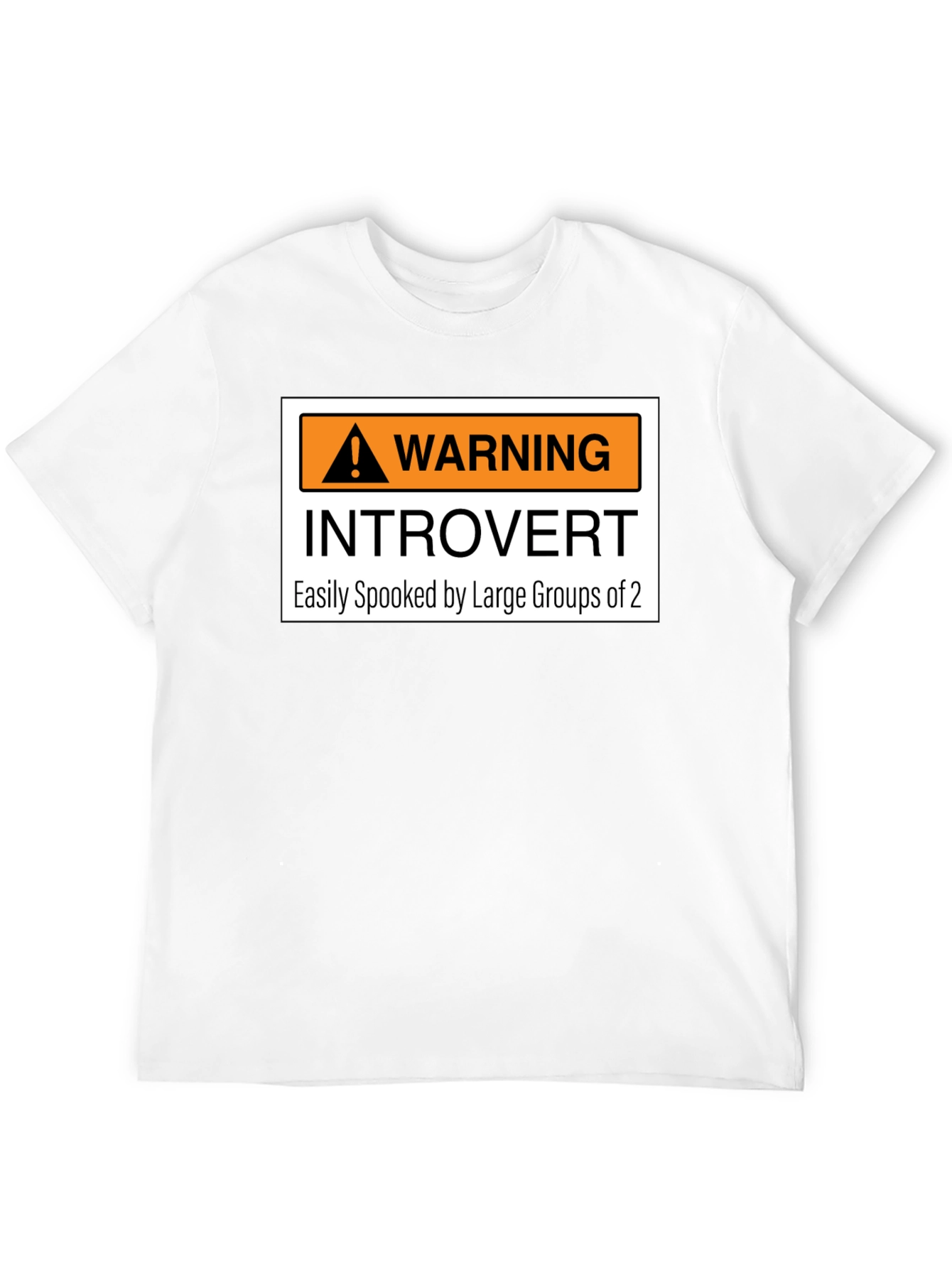 Introvert Warning Graphic Tee - Easily Spooked