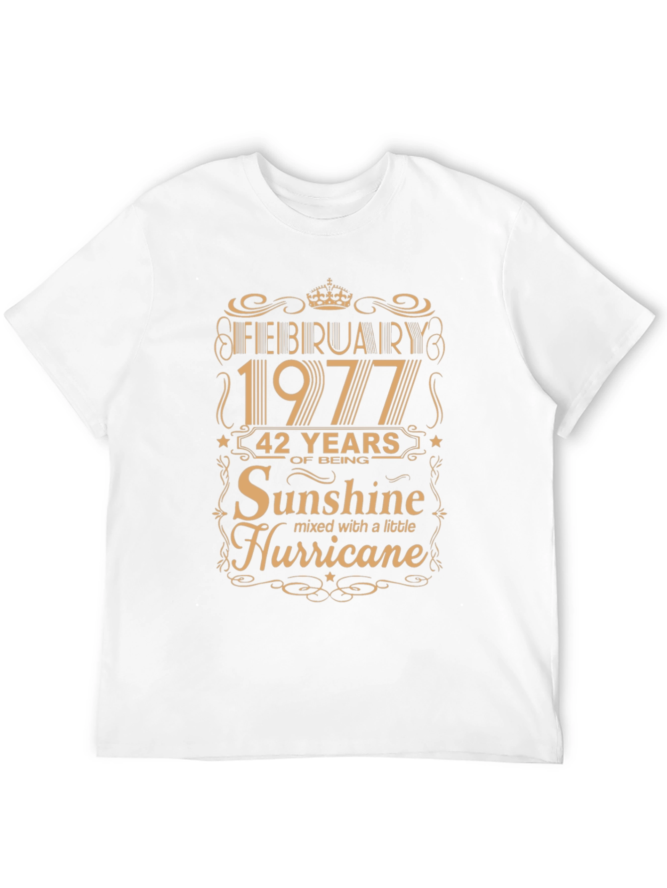 February 1977 Birthday Sunshine Hurricane T-Shirt
