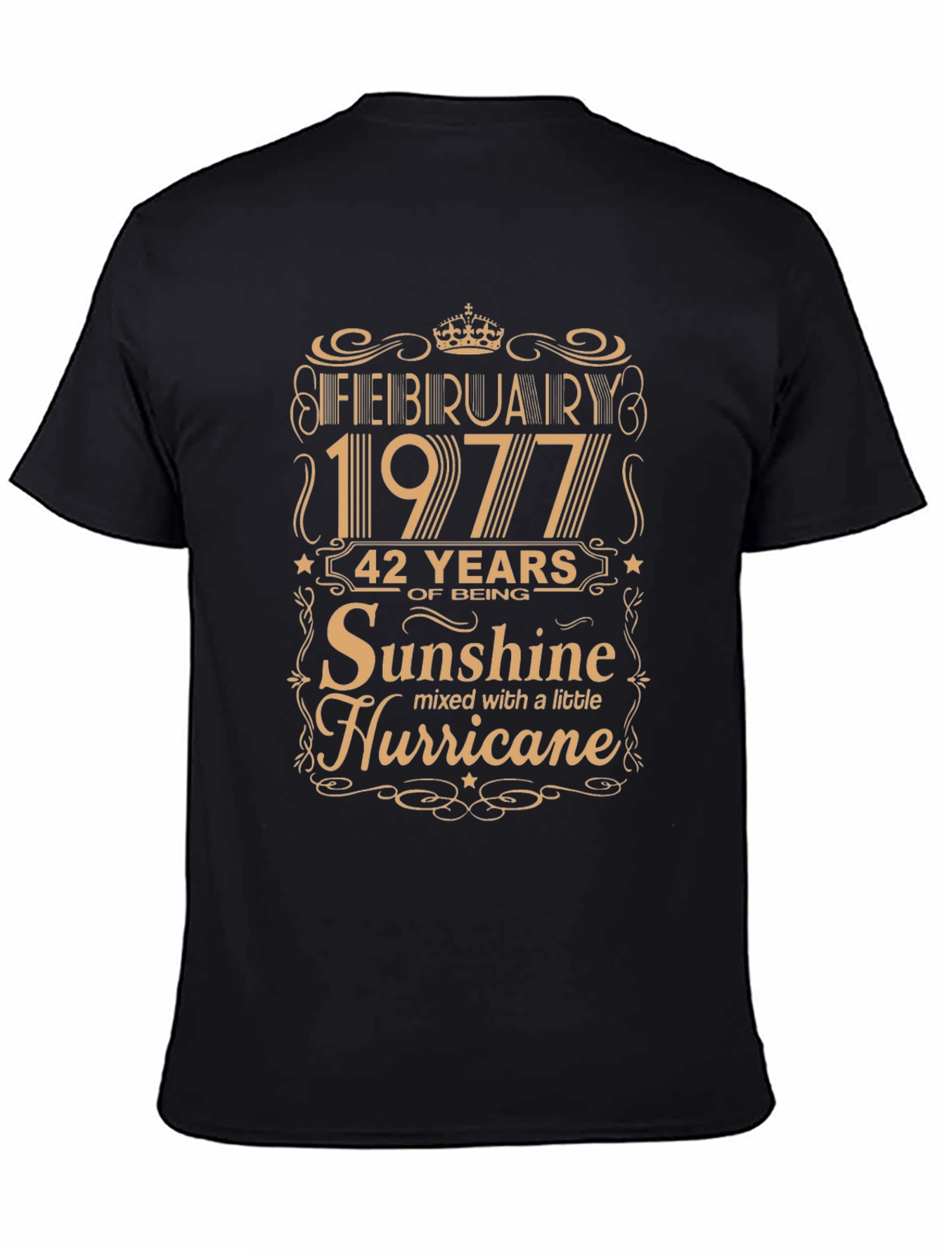 February 1977 Birthday Sunshine Hurricane T-Shirt