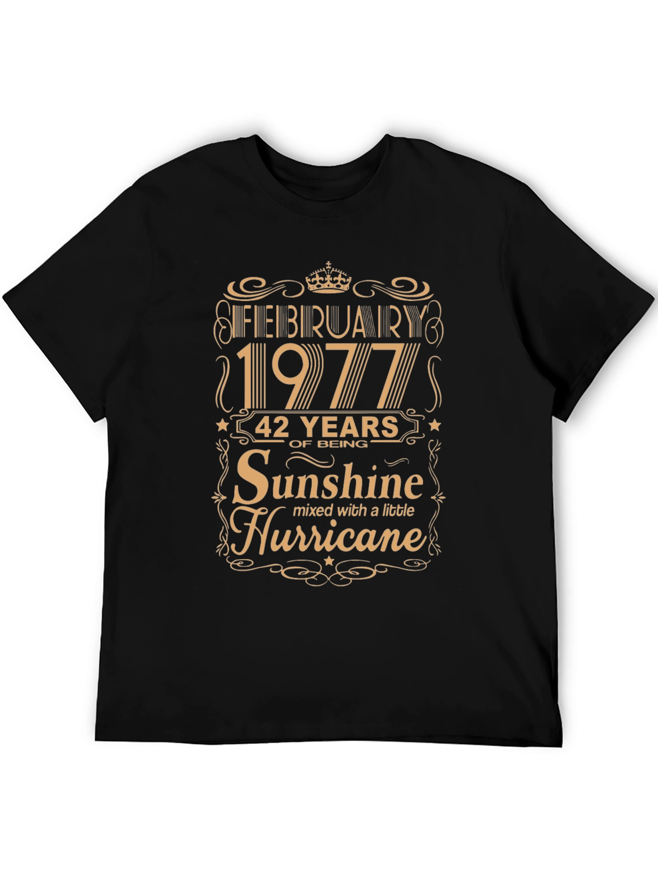 February 1977 Birthday Sunshine Hurricane T-Shirt