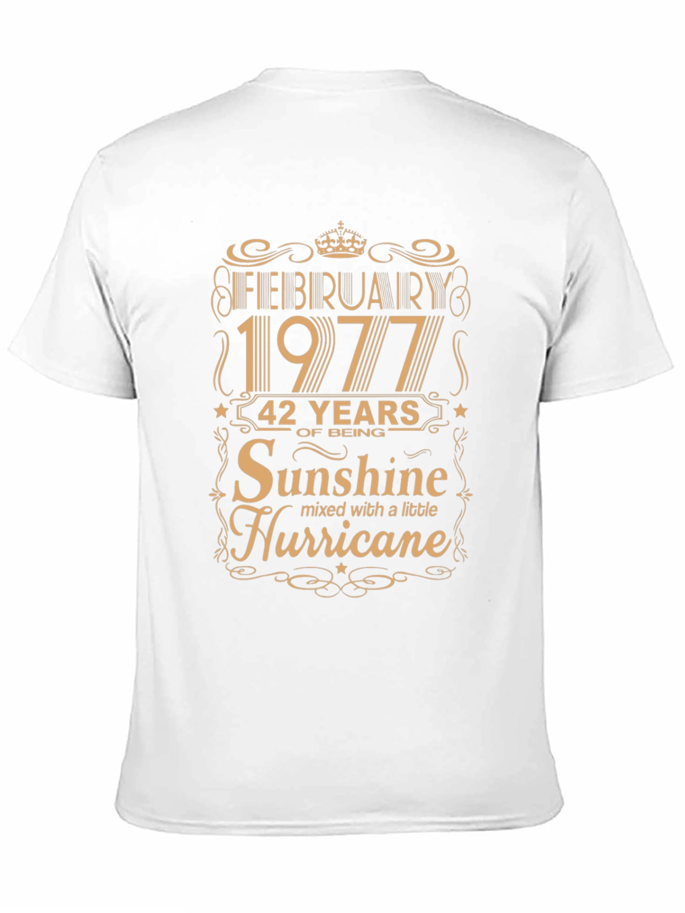 February 1977 Birthday Sunshine Hurricane T-Shirt