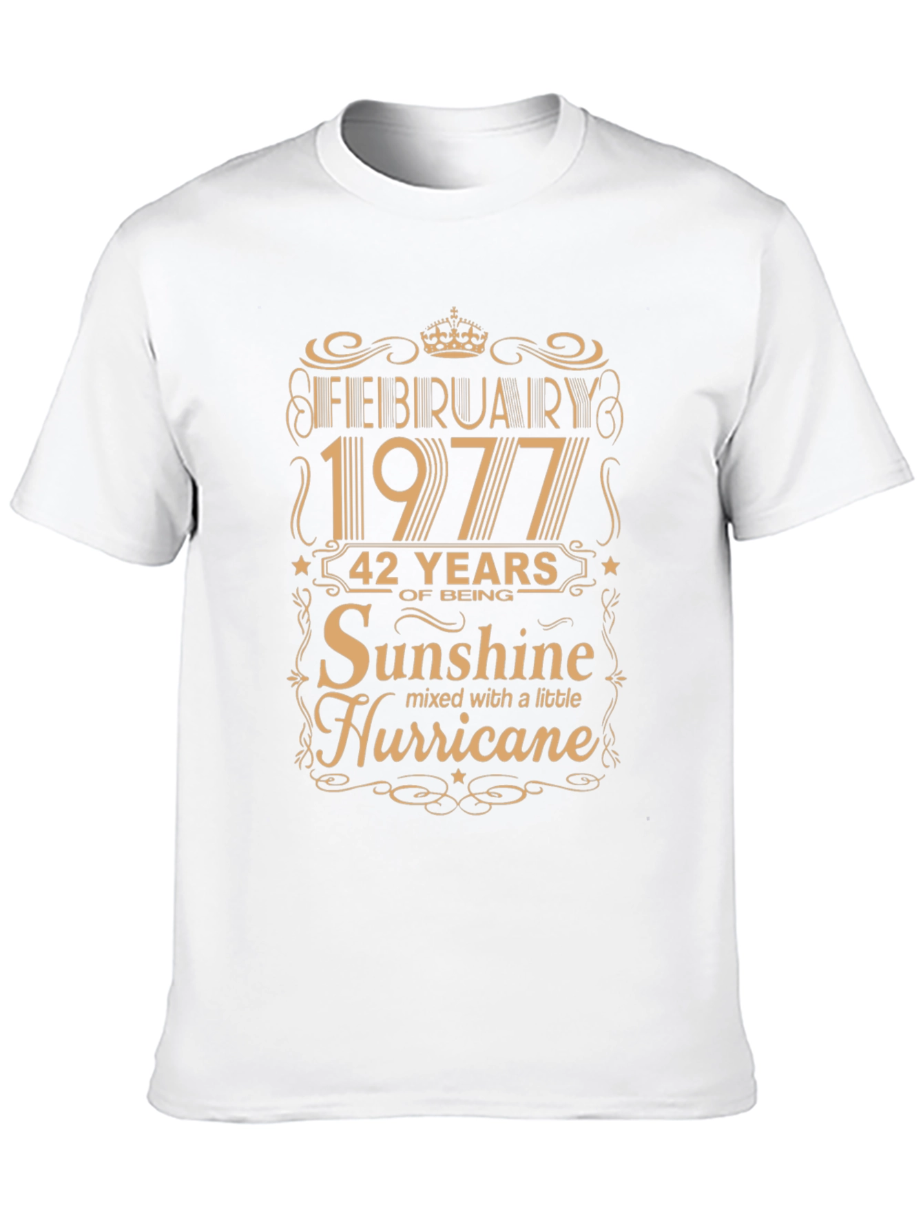 February 1977 Birthday Sunshine Hurricane T-Shirt