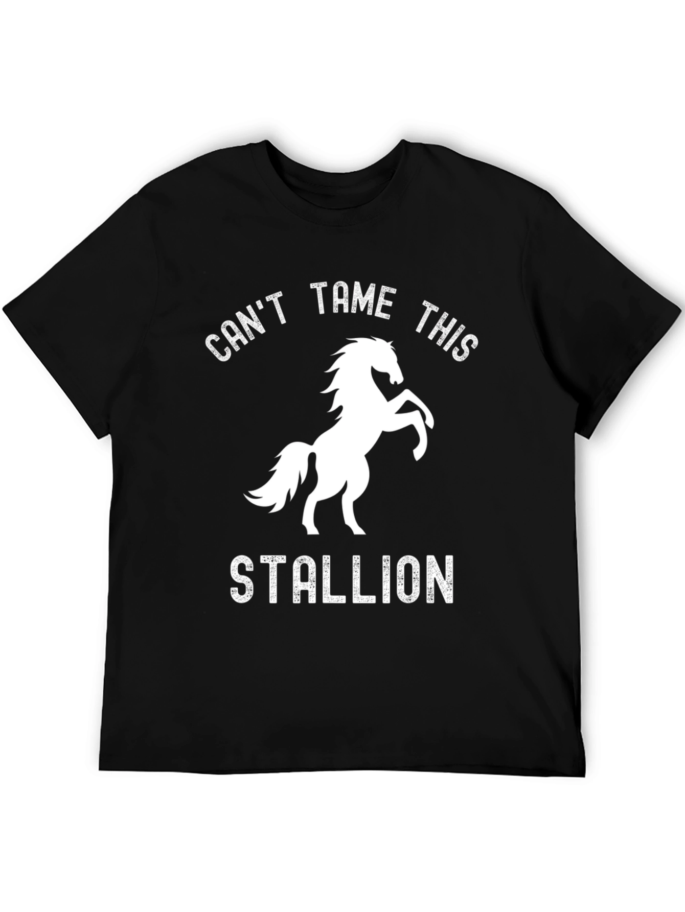 Cant Tame This Stallion Graphic Tee