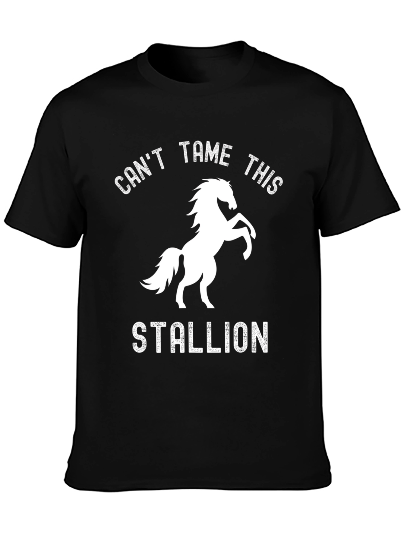 Cant Tame This Stallion Graphic Tee