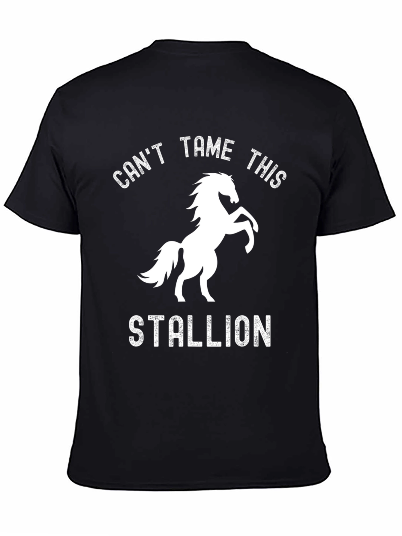 Cant Tame This Stallion Graphic Tee