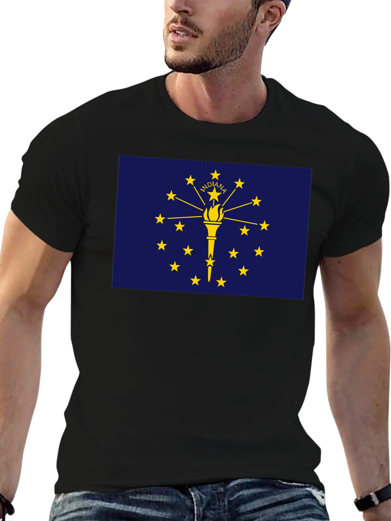 Indiana State Flag Graphic Tee - Black T-Shirt