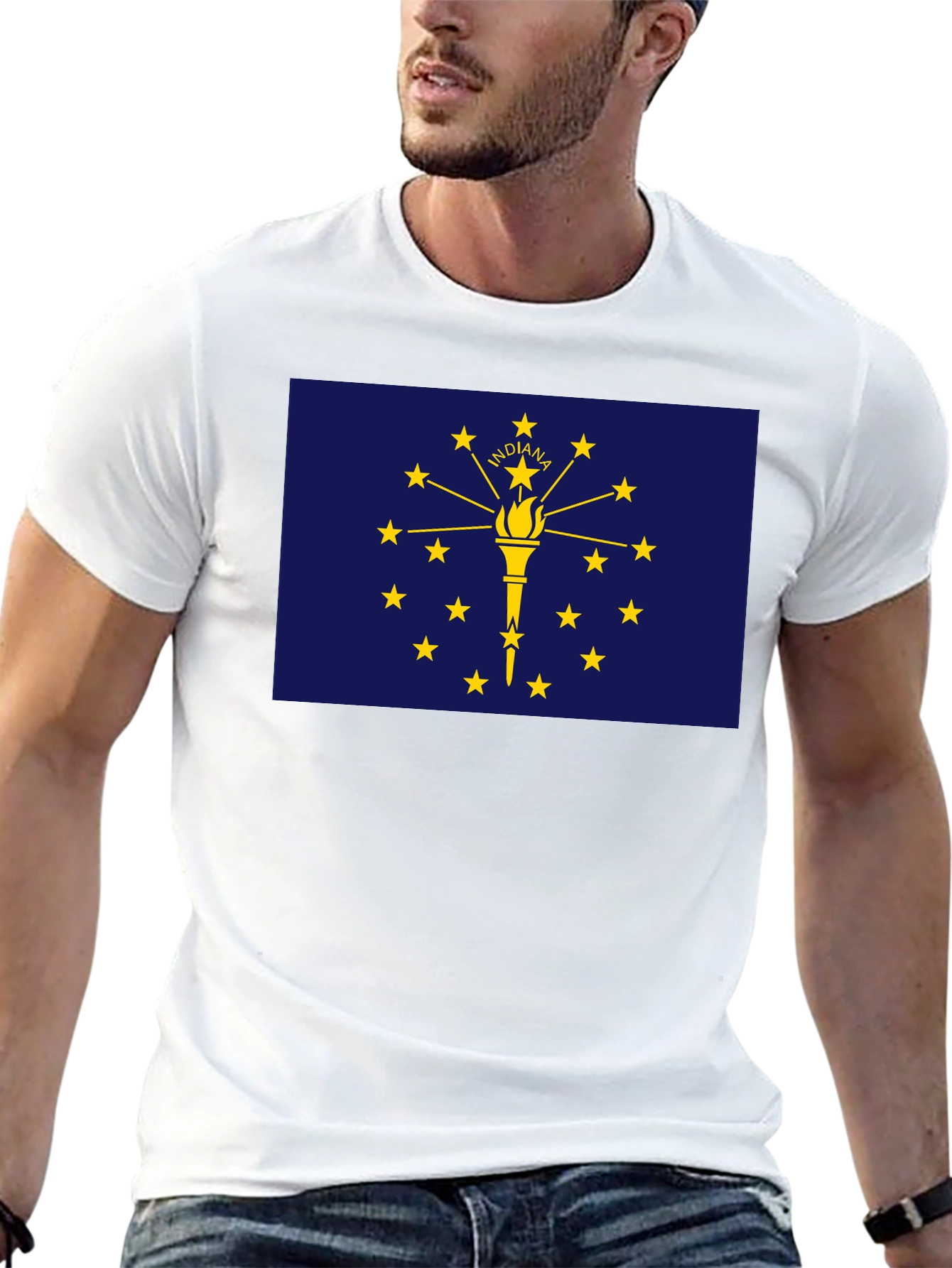 Indiana State Flag Graphic Tee - Black T-Shirt