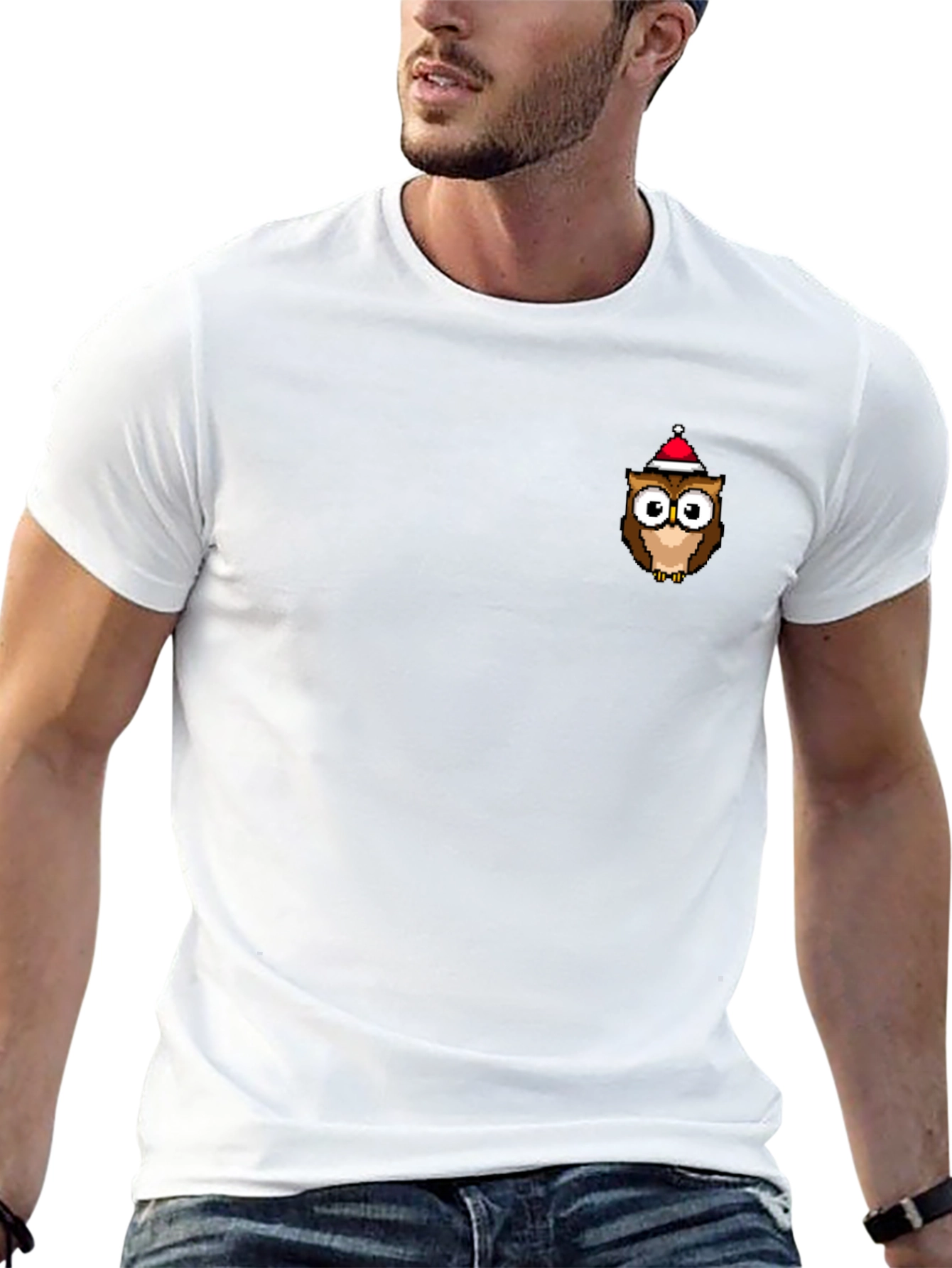 Festive Owl Graphic Tee - Black Cotton T-Shirt