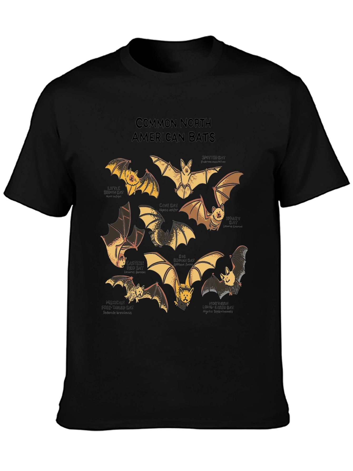 North American Bats Graphic Print T-Shirt