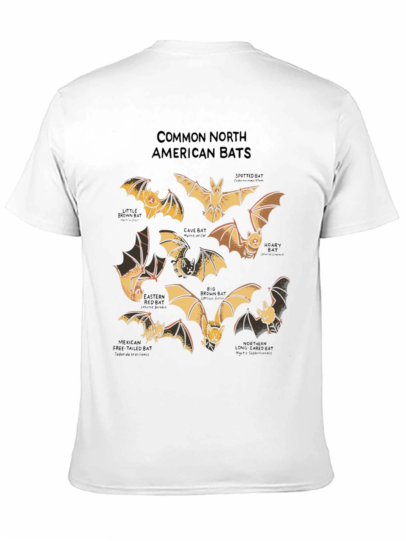 North American Bats Graphic Print T-Shirt