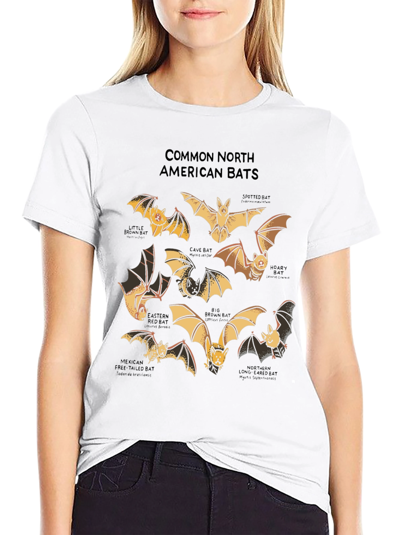 North American Bats Graphic Print T-Shirt