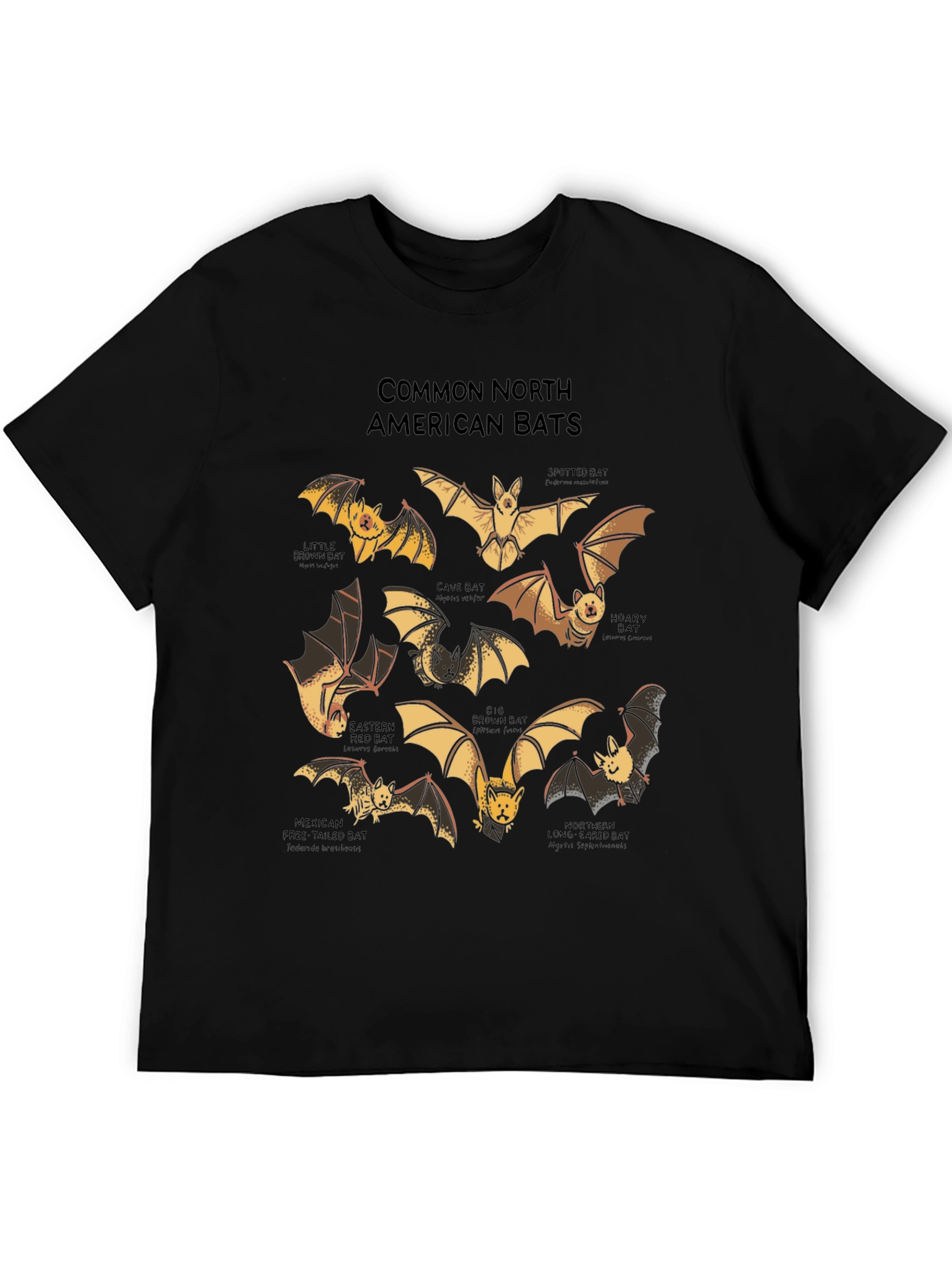 North American Bats Graphic Print T-Shirt