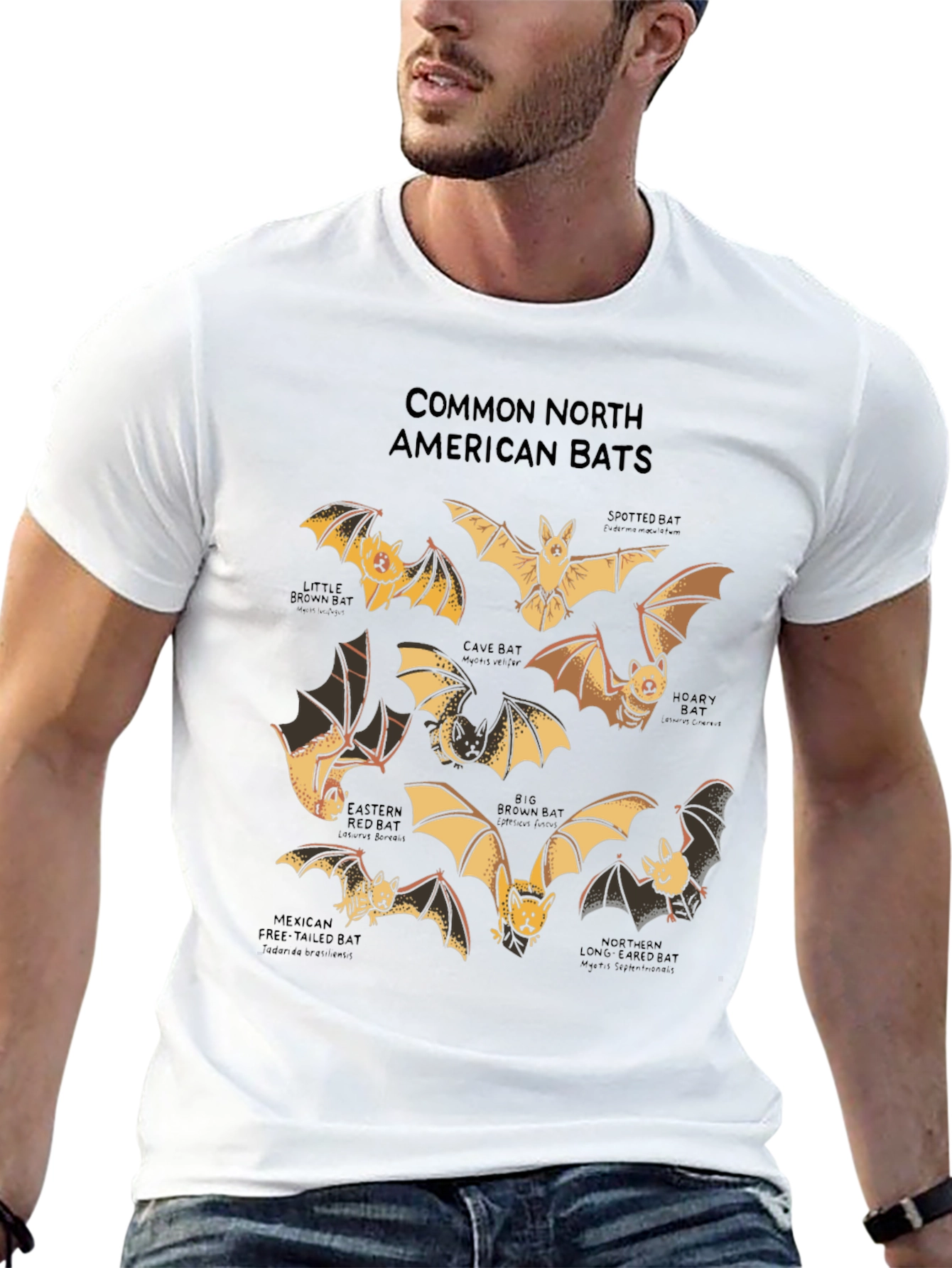 North American Bats Graphic Print T-Shirt