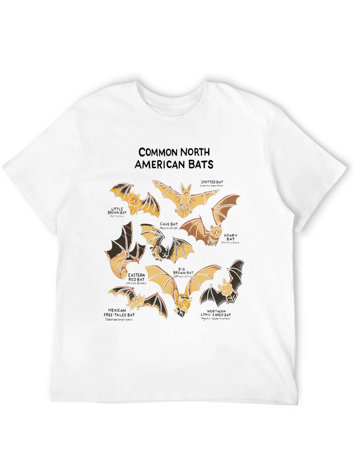 North American Bats Graphic Print T-Shirt