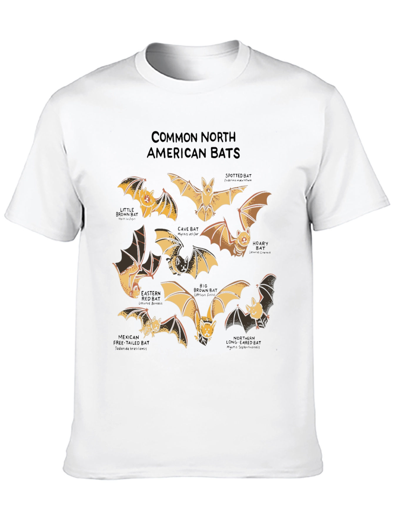 North American Bats Graphic Print T-Shirt