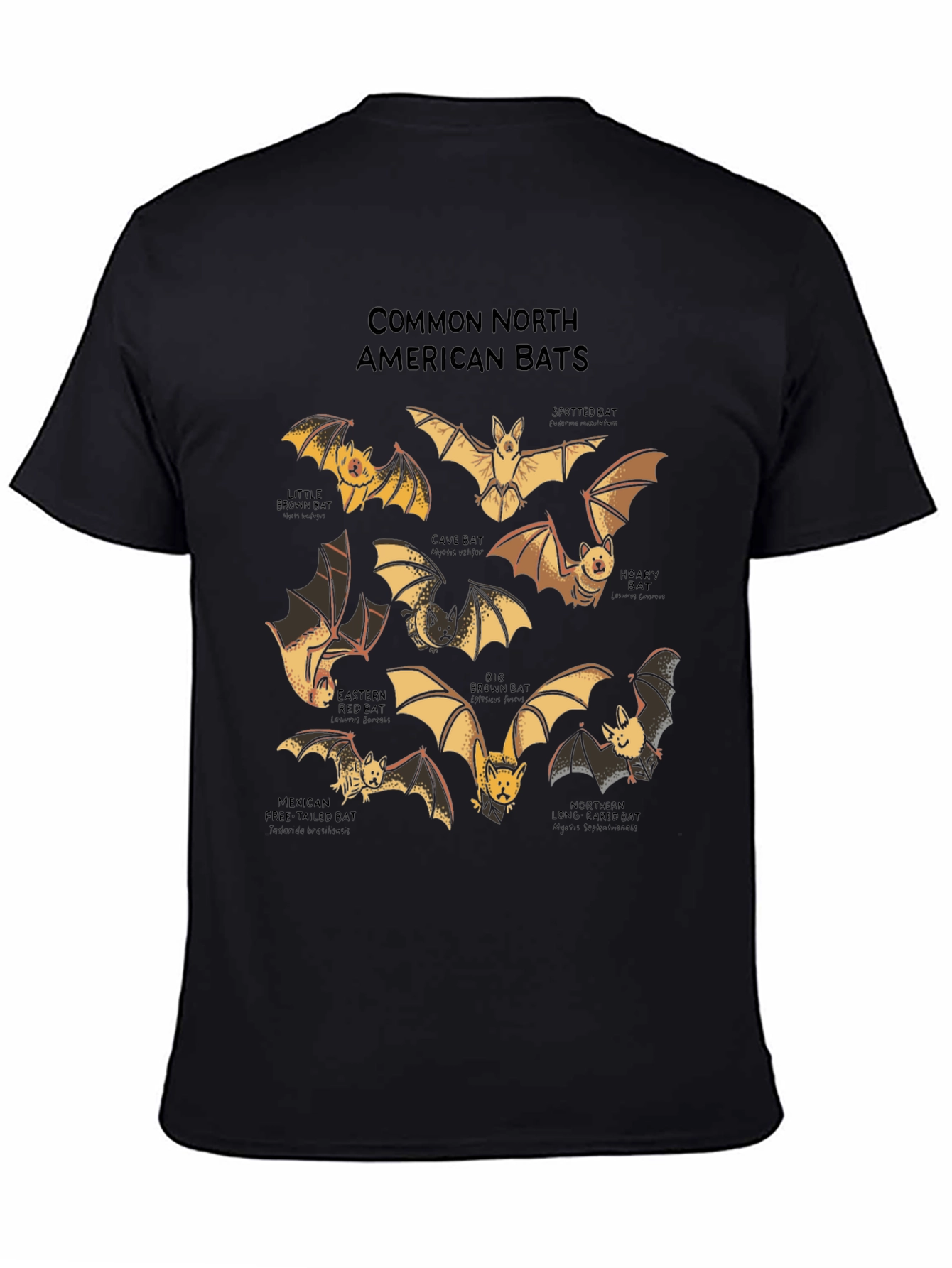 North American Bats Graphic Print T-Shirt