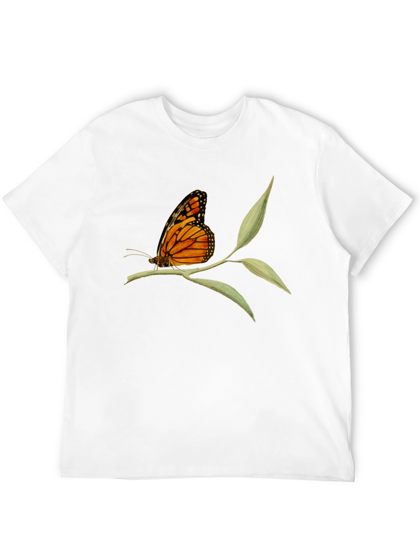 Butterfly on Branch Graphic Tee - Black Cotton T-Shirt