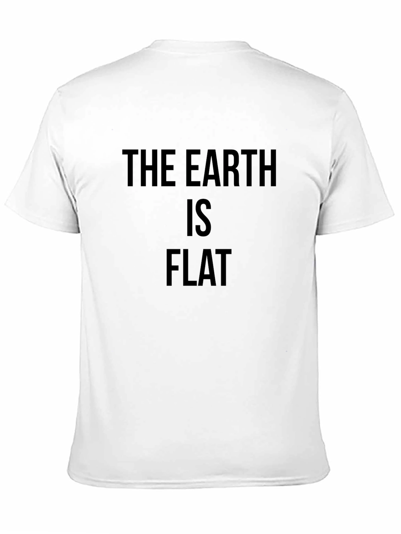 The Earth Is Flat Funny Graphic Tee