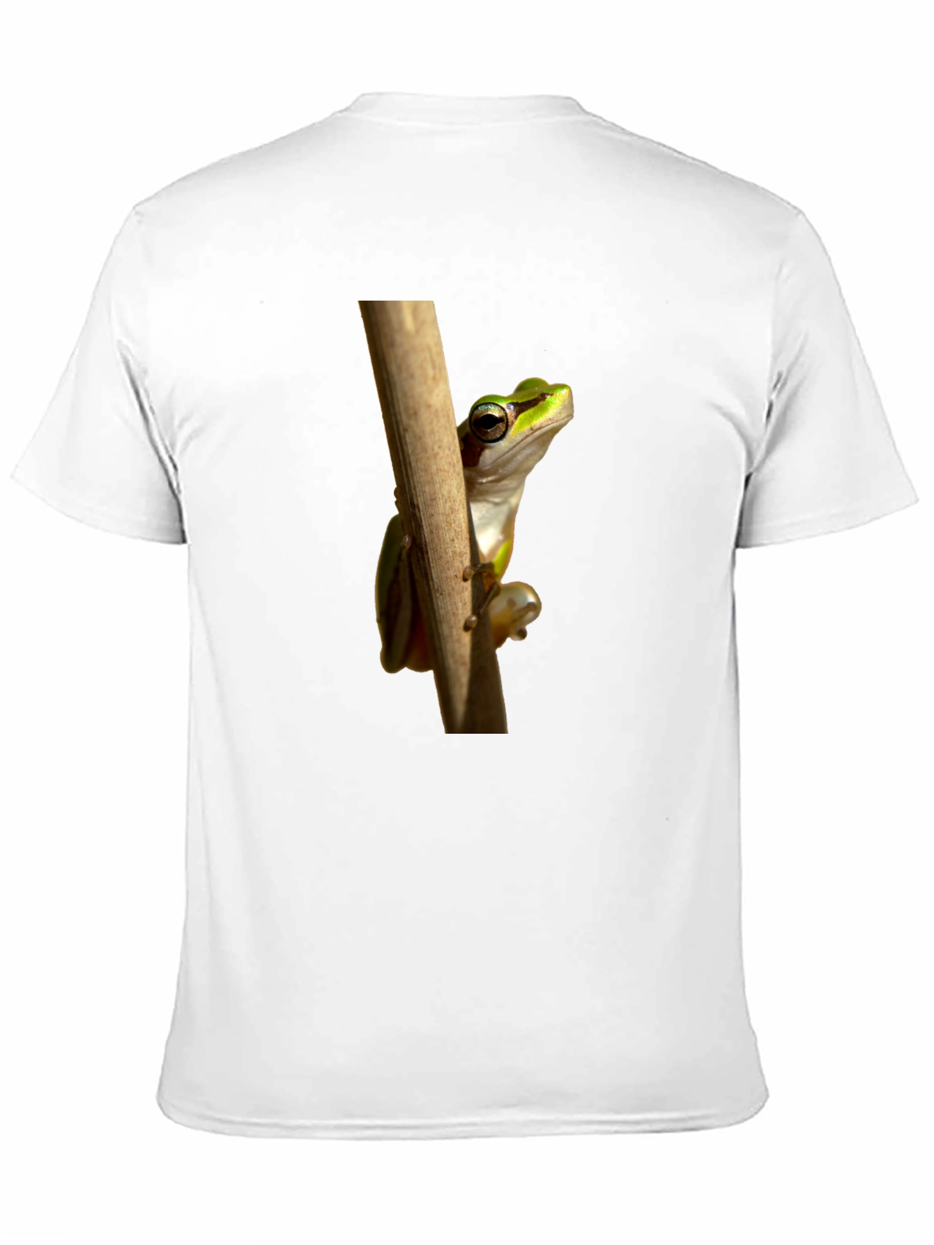 Frog on Branch Graphic T-Shirt - Black