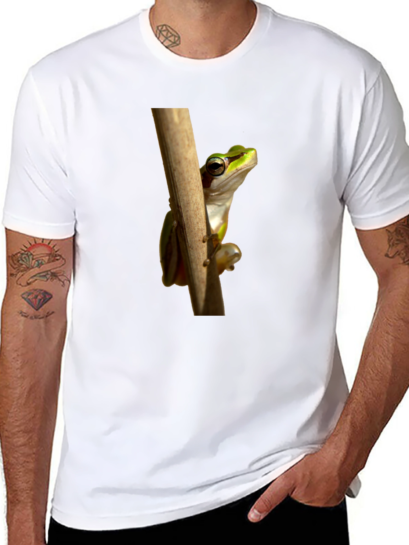 Frog on Branch Graphic T-Shirt - Black