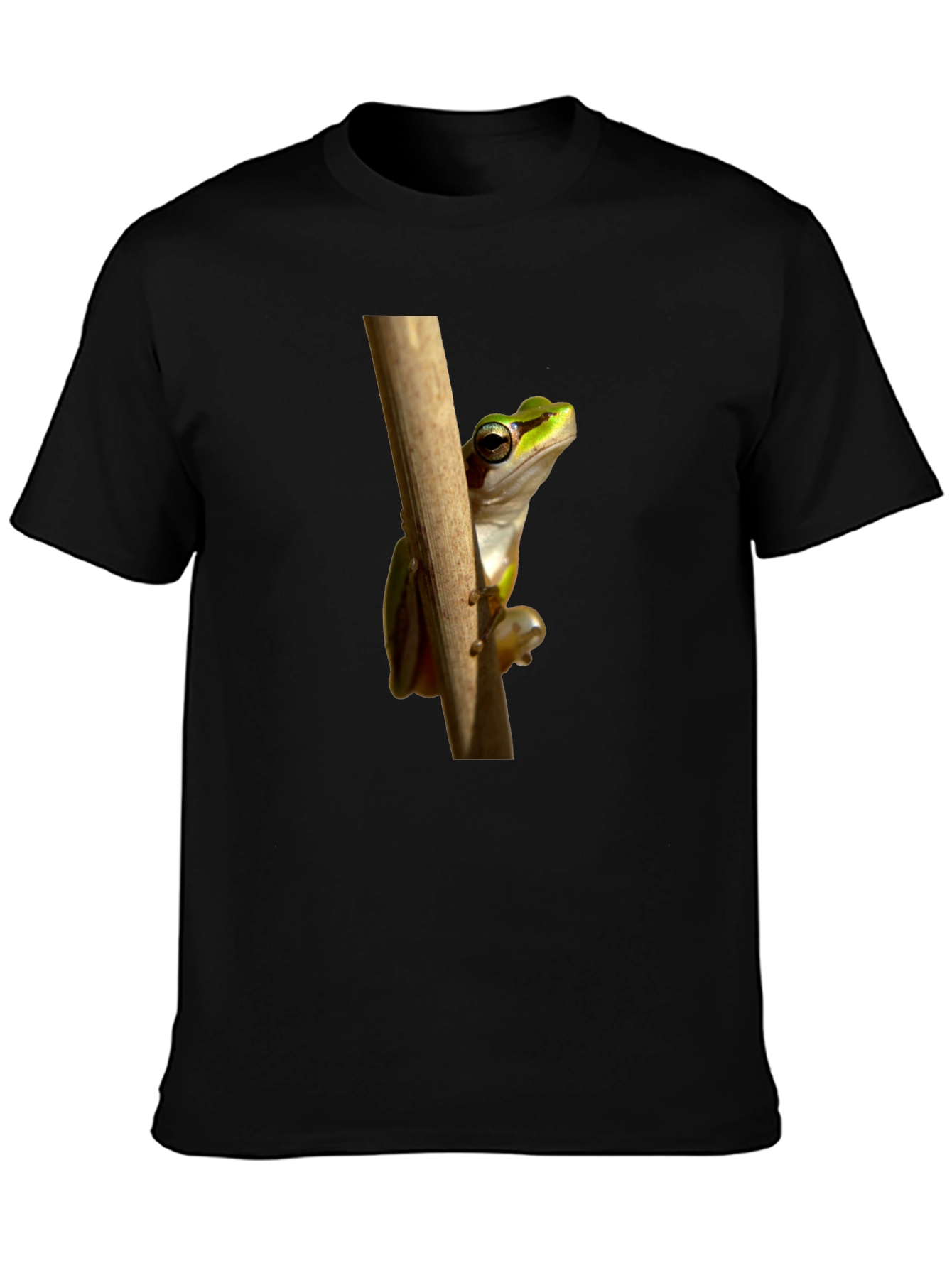 Frog on Branch Graphic T-Shirt - Black