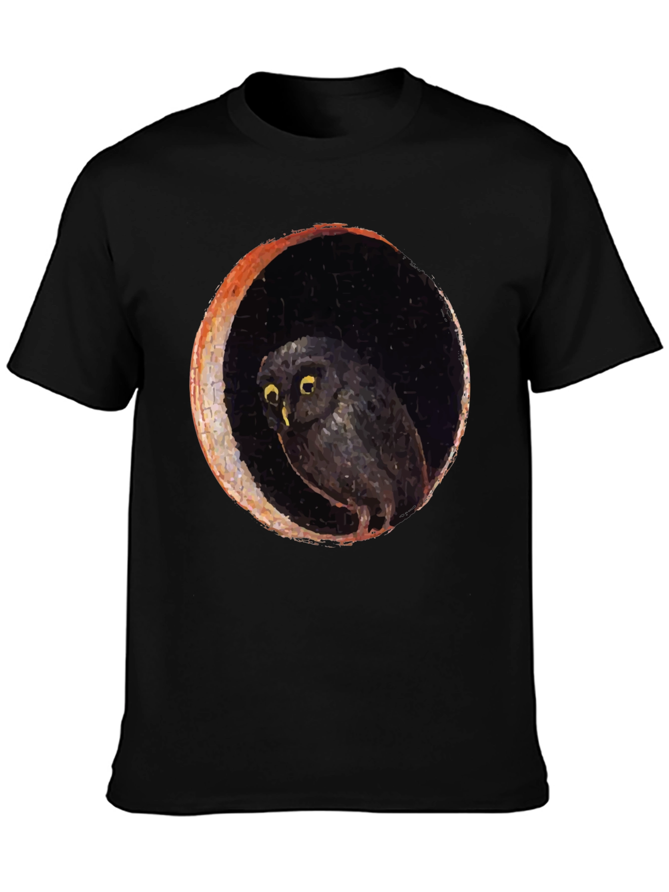 Owl and Moon Graphic Black T-Shirt