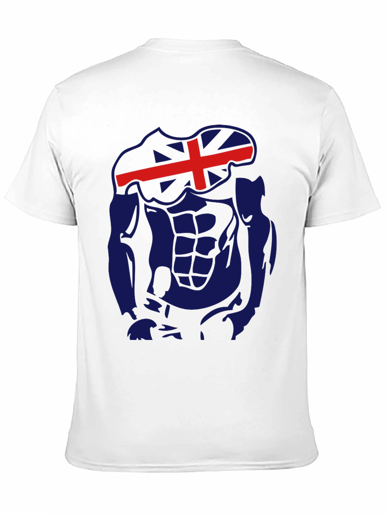 Icelandic Flag Abs Funny Gym T-Shirt