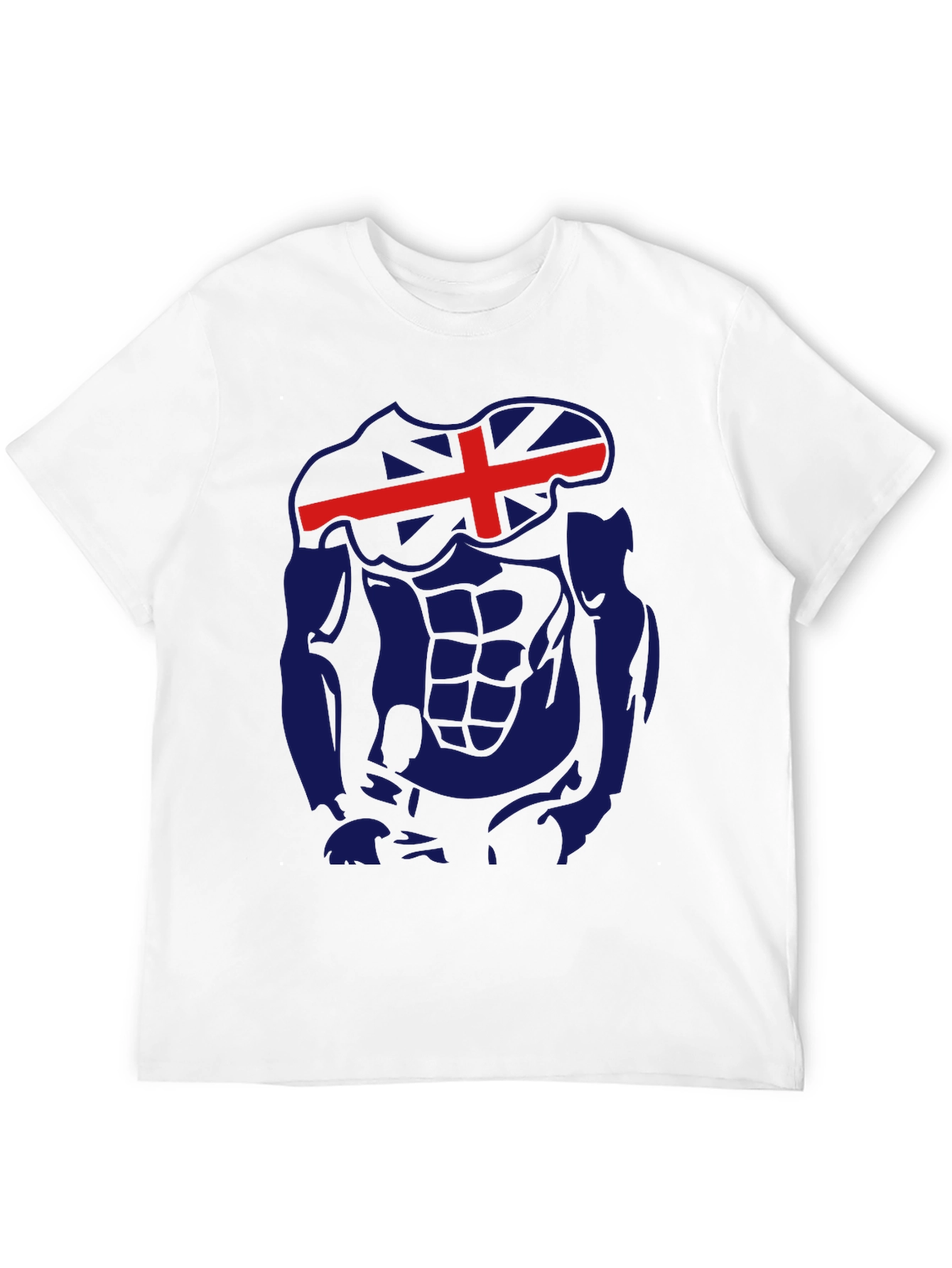 Icelandic Flag Abs Funny Gym T-Shirt