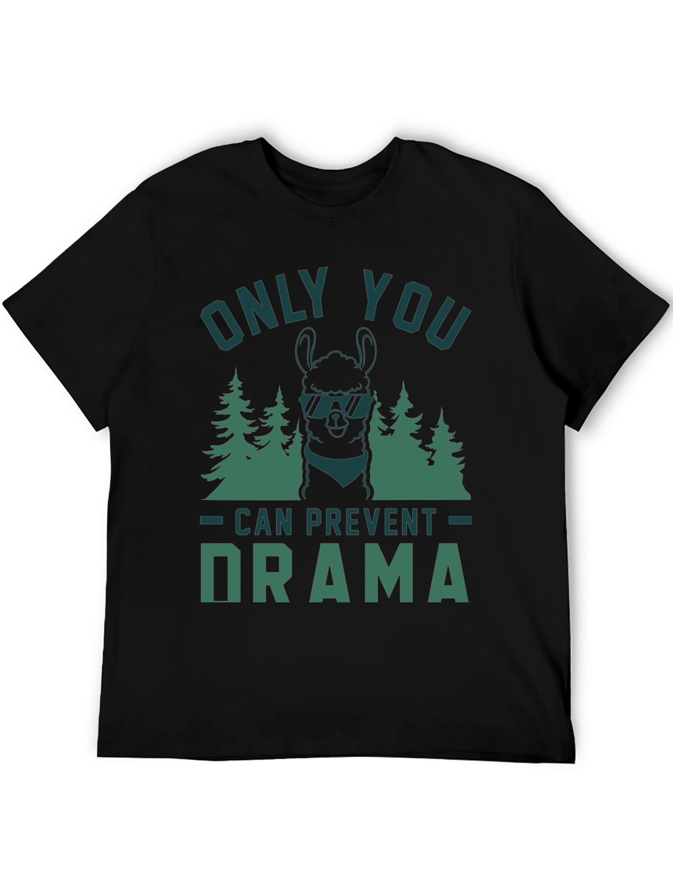 Only You Can Prevent Drama Graphic Tee