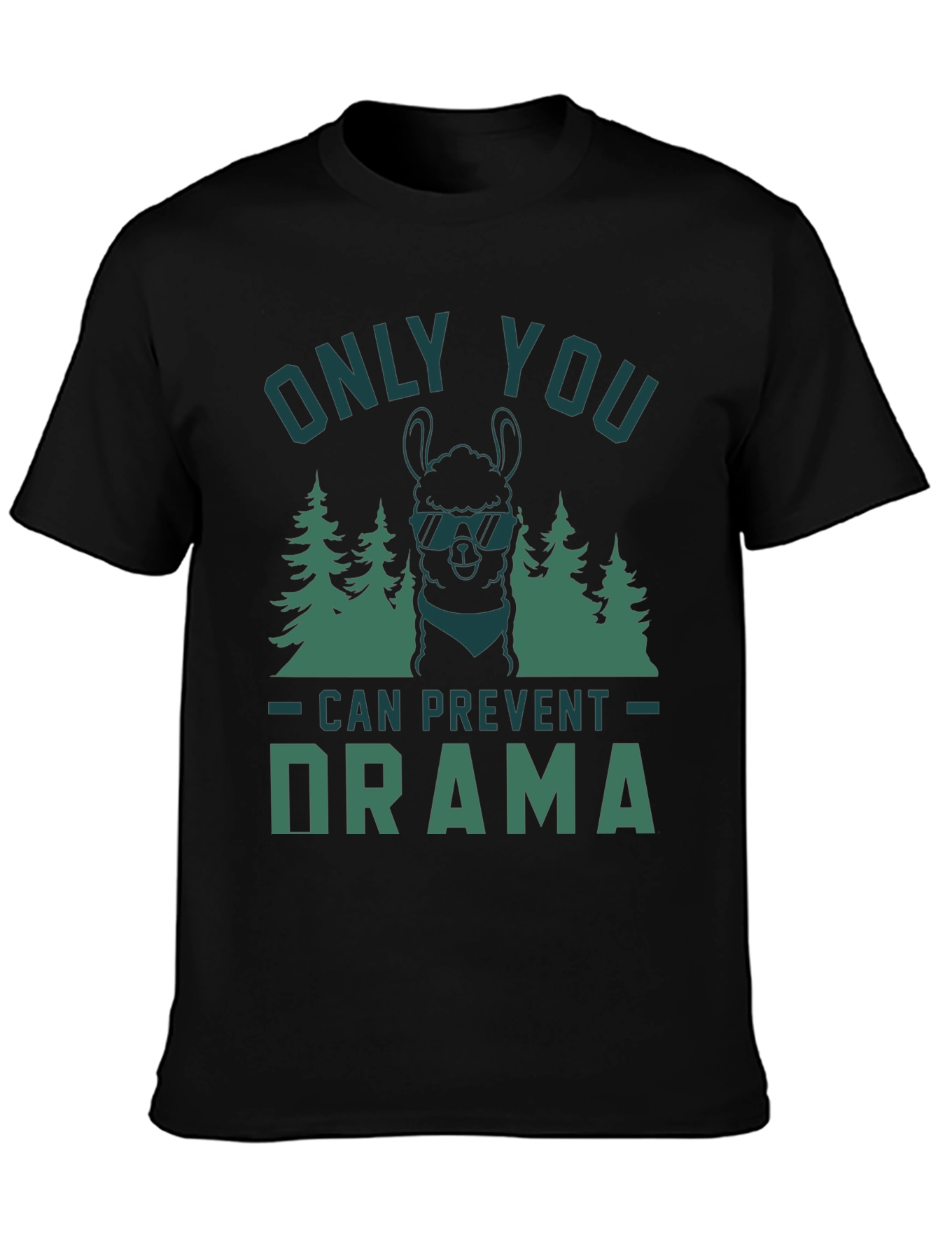 Only You Can Prevent Drama Graphic Tee