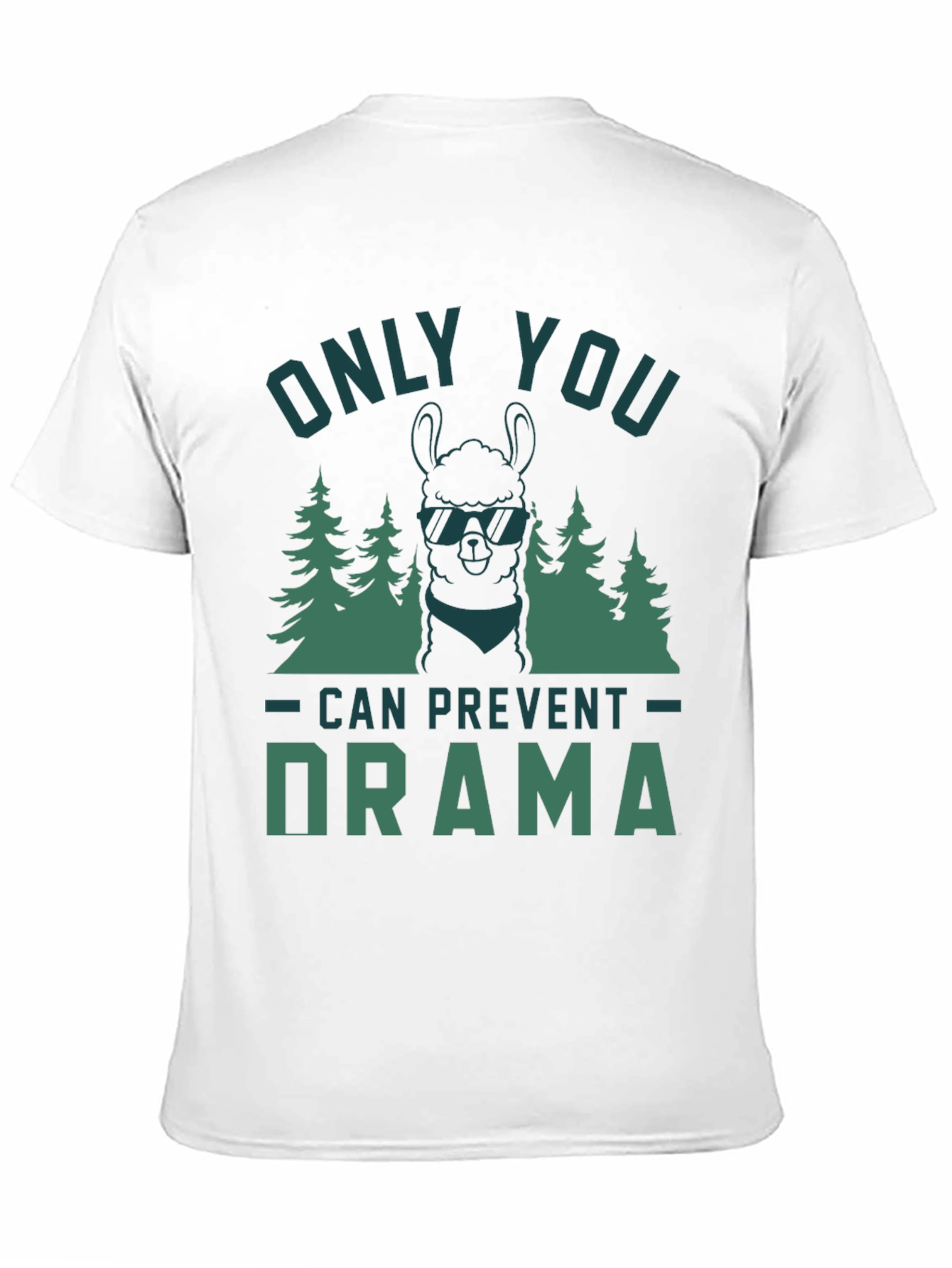 Only You Can Prevent Drama Graphic Tee